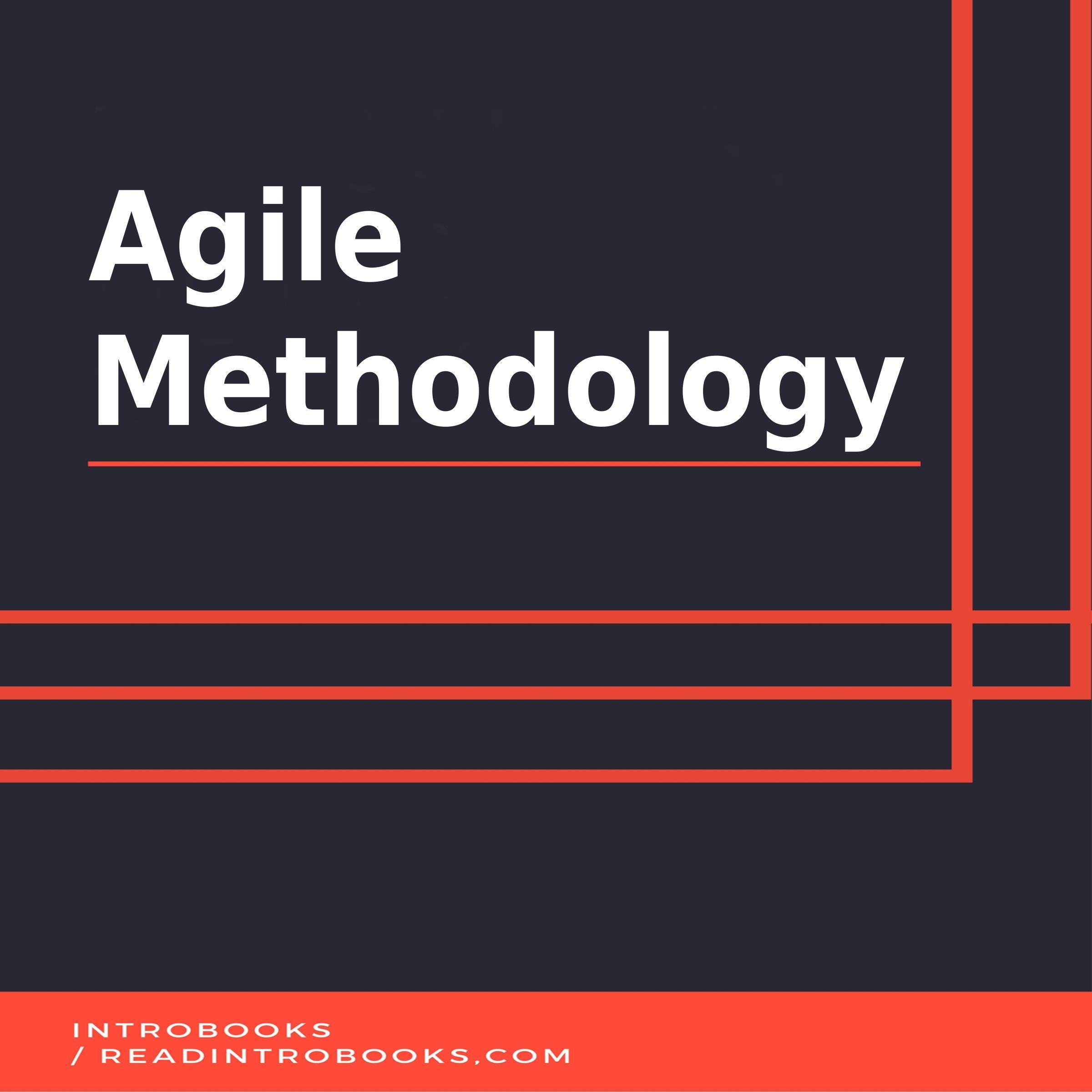 Agile Methodology