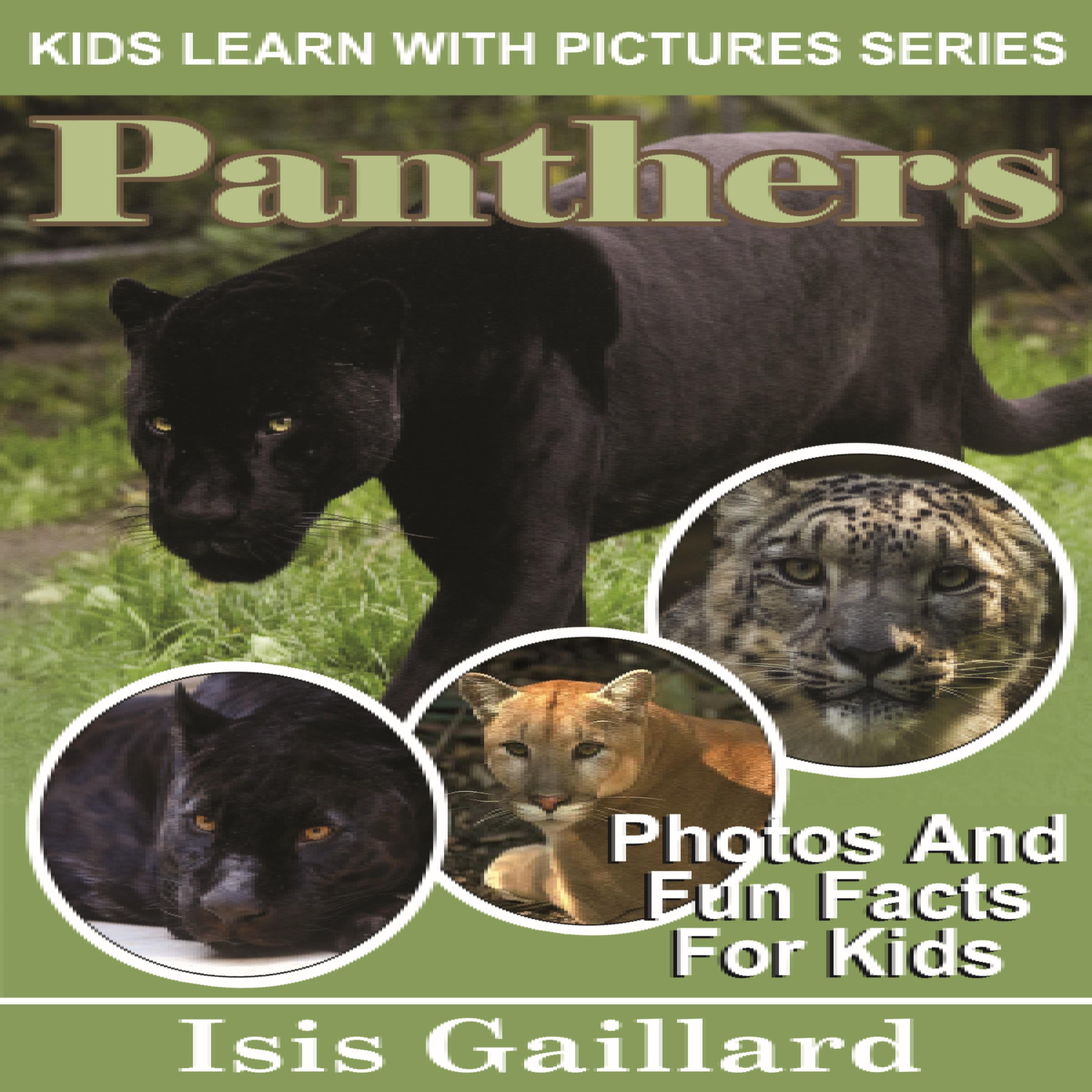 Panthers