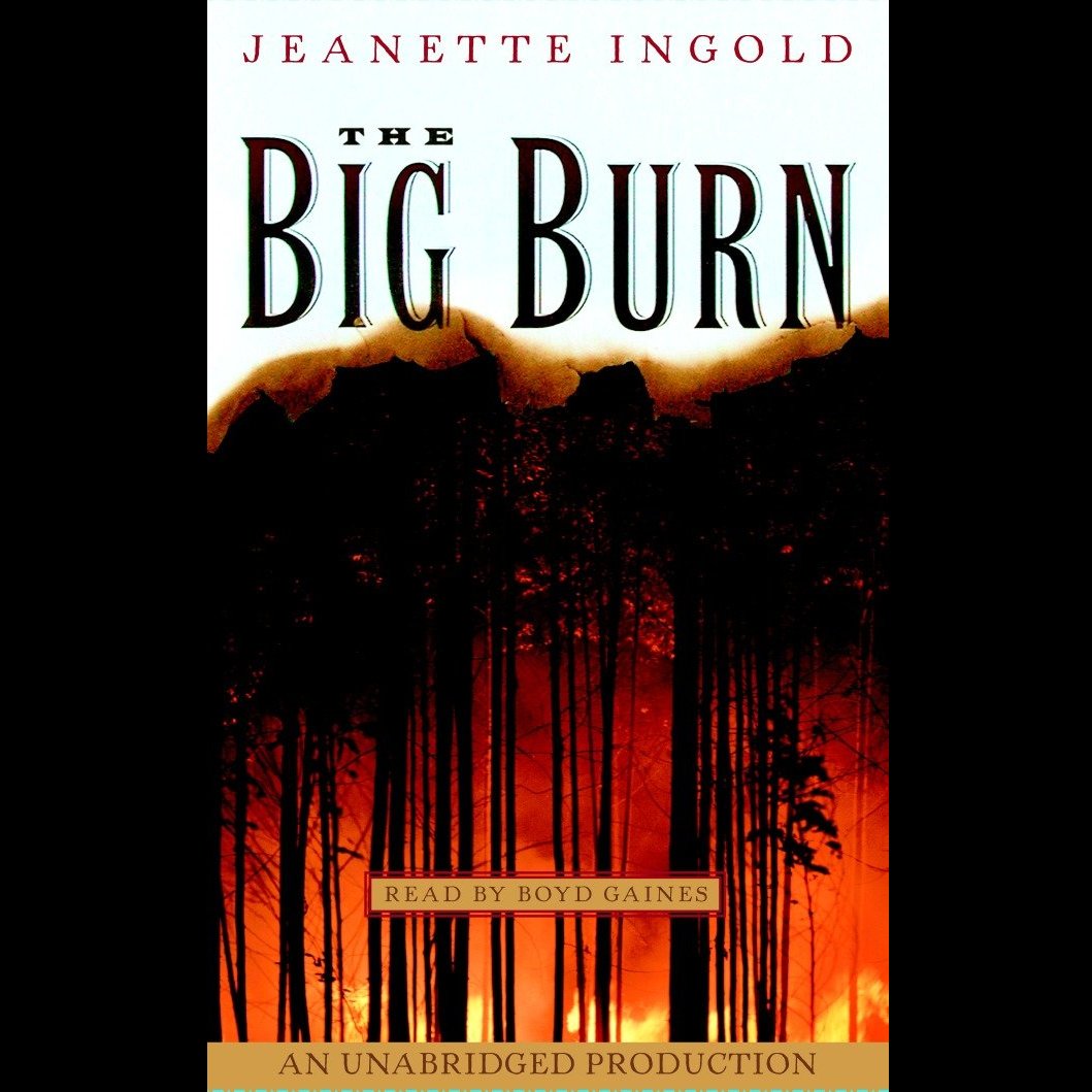 The Big Burn