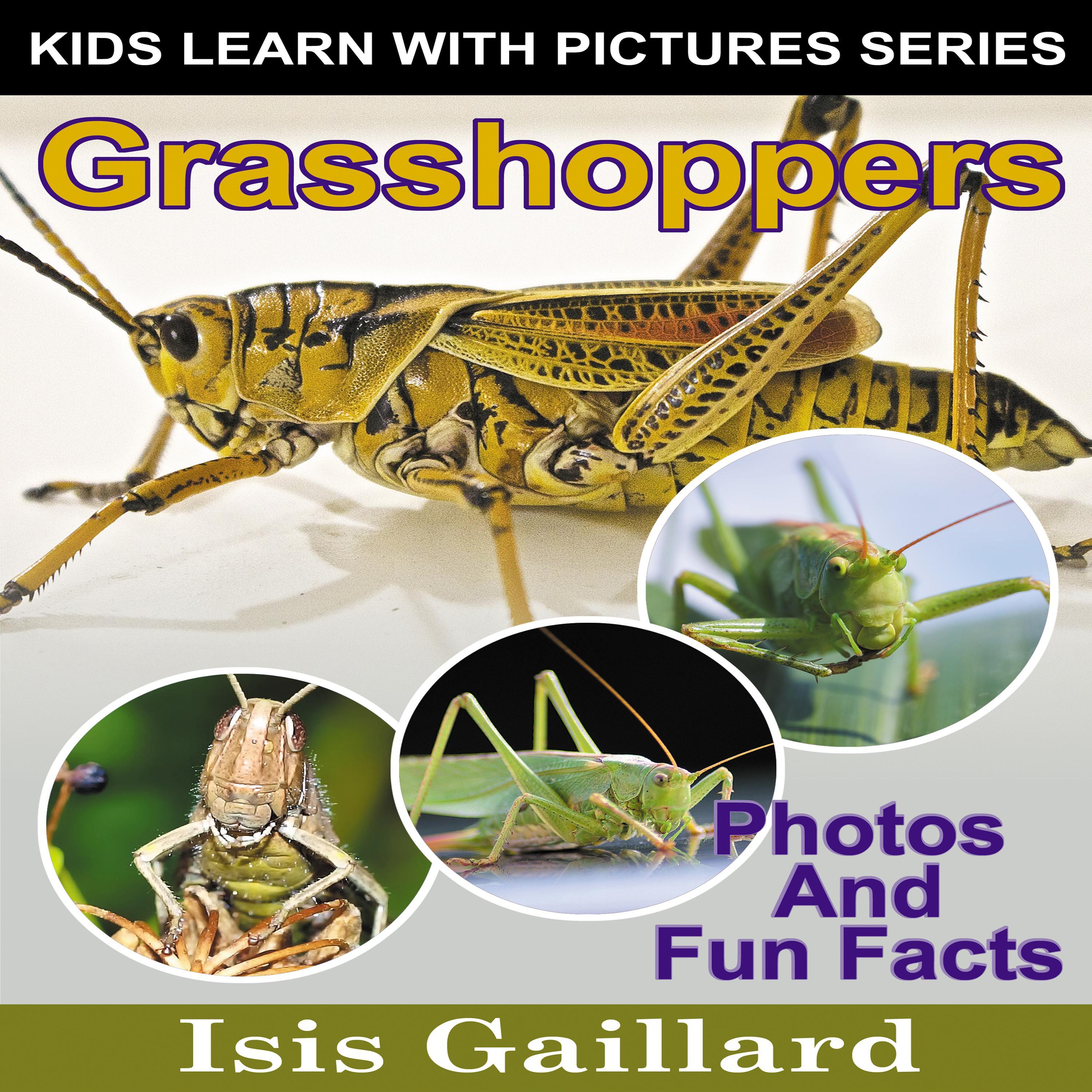 Grasshoppers
