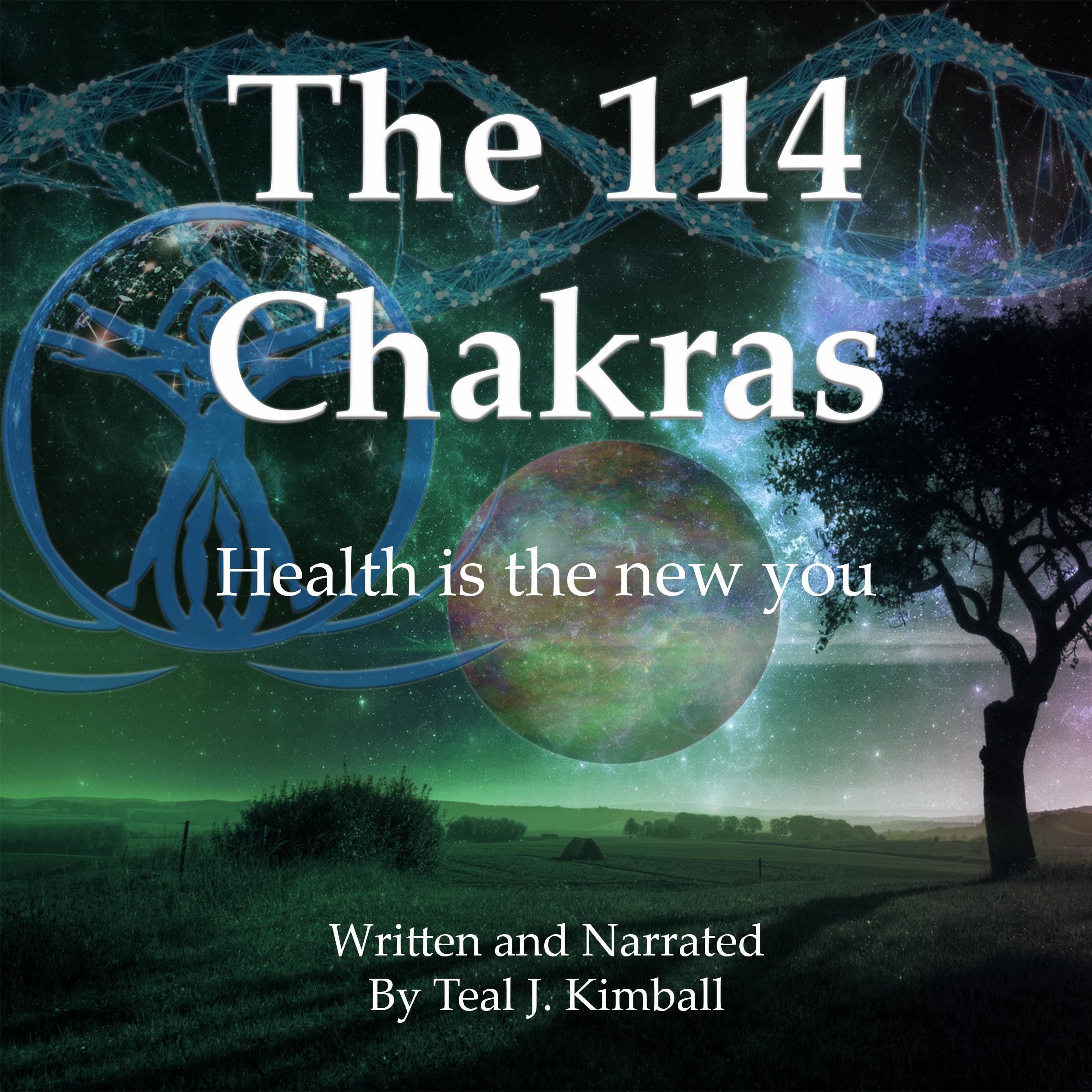 The 114 Chakras