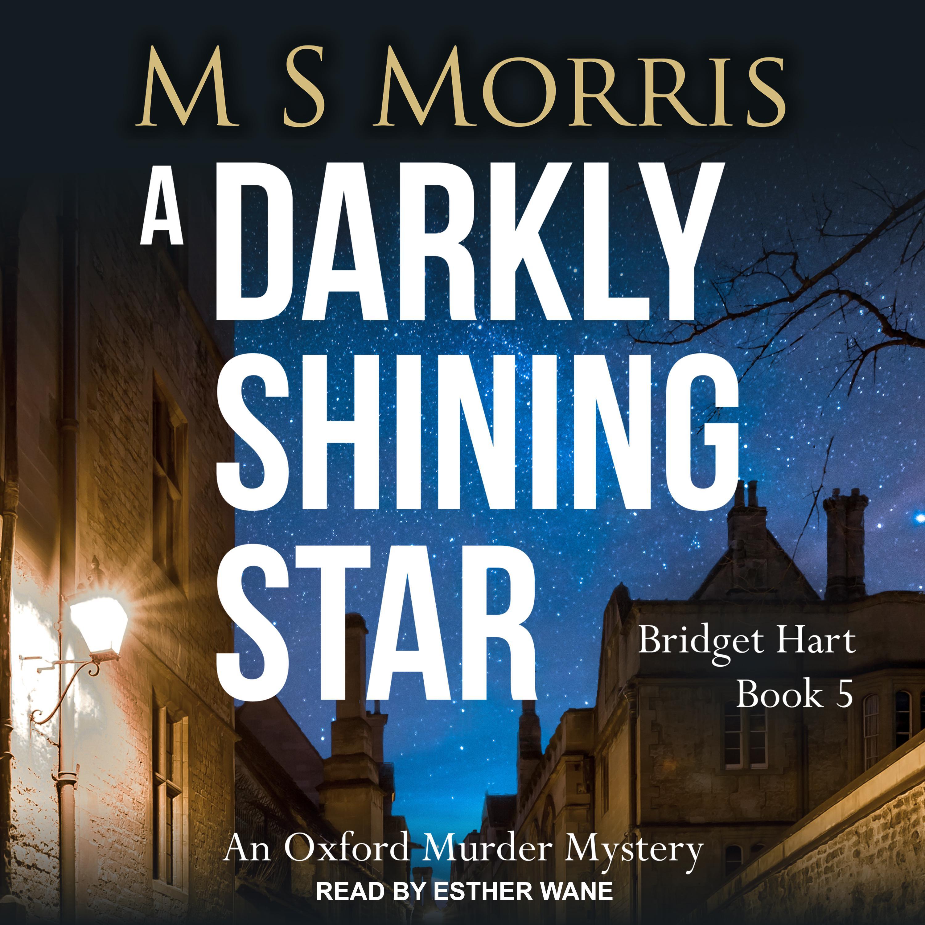 A Darkly Shining Star