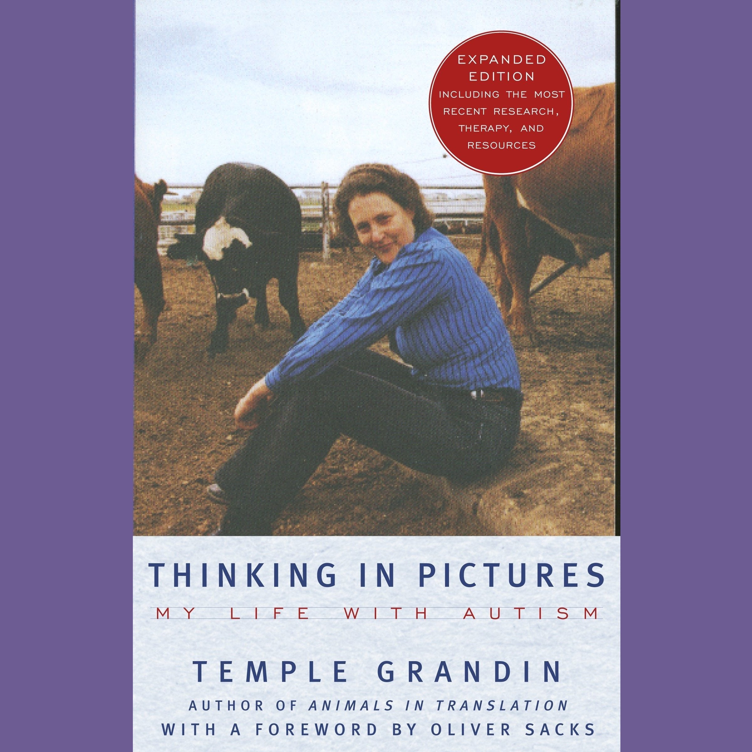 Thinking in Pictures