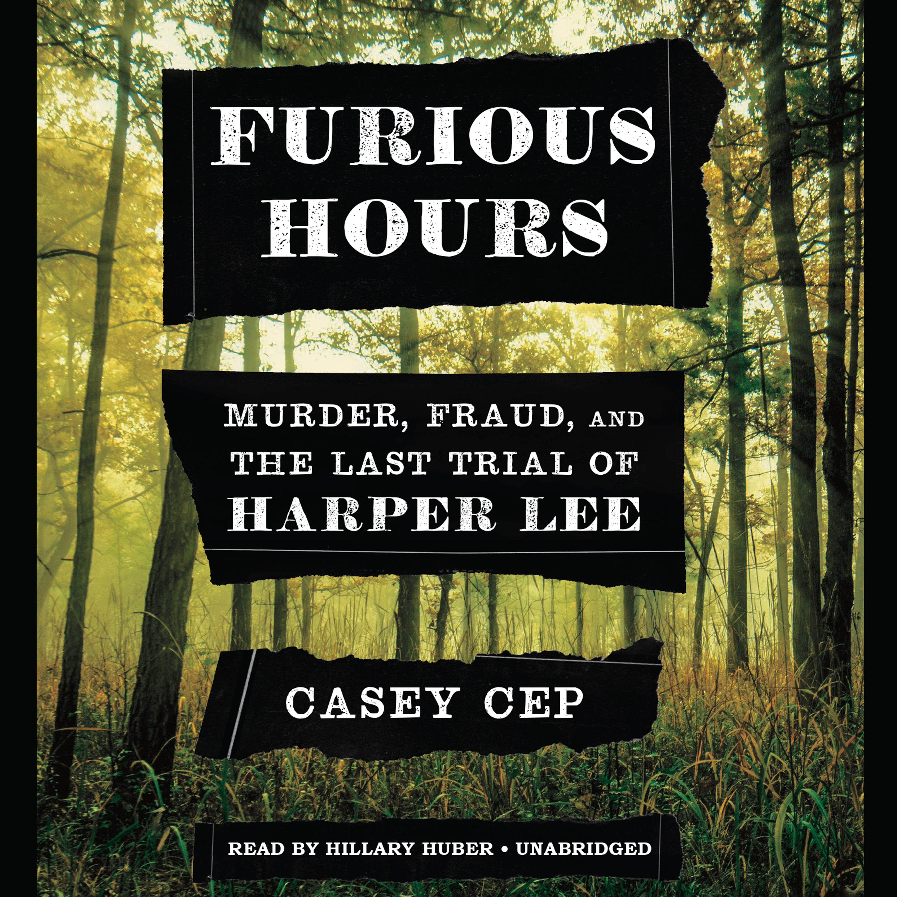 Furious Hours