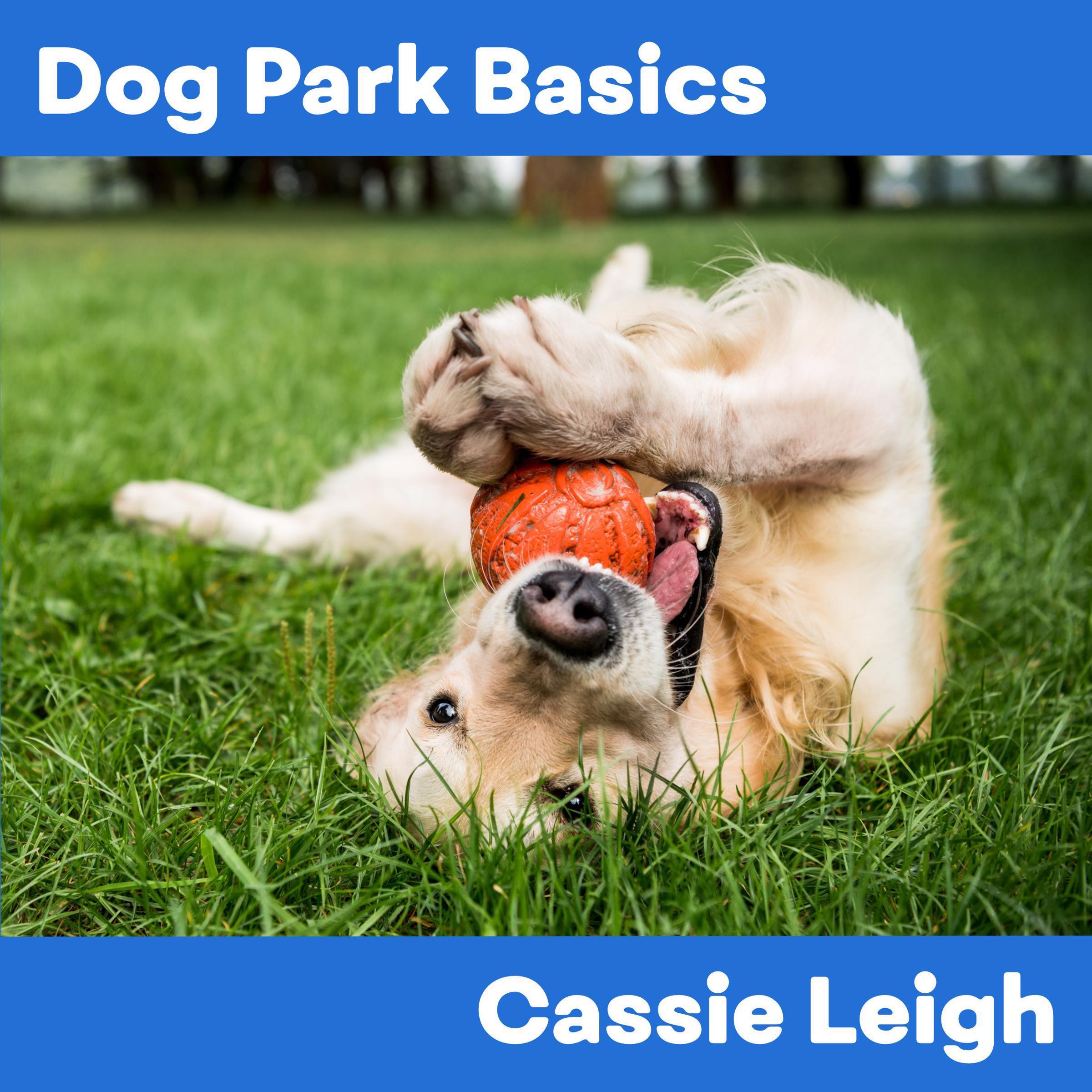Dog Park Basics