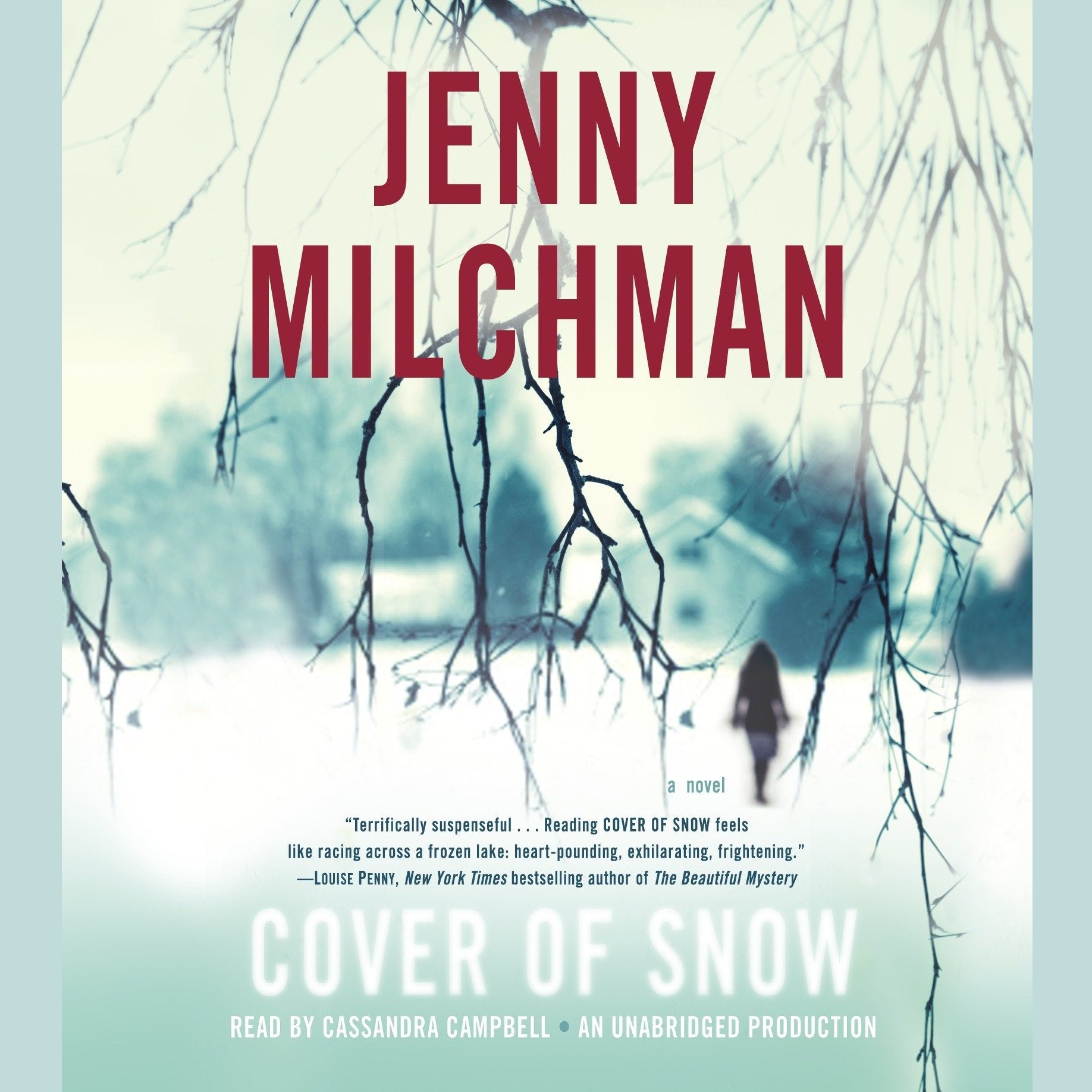 Cover of Snow