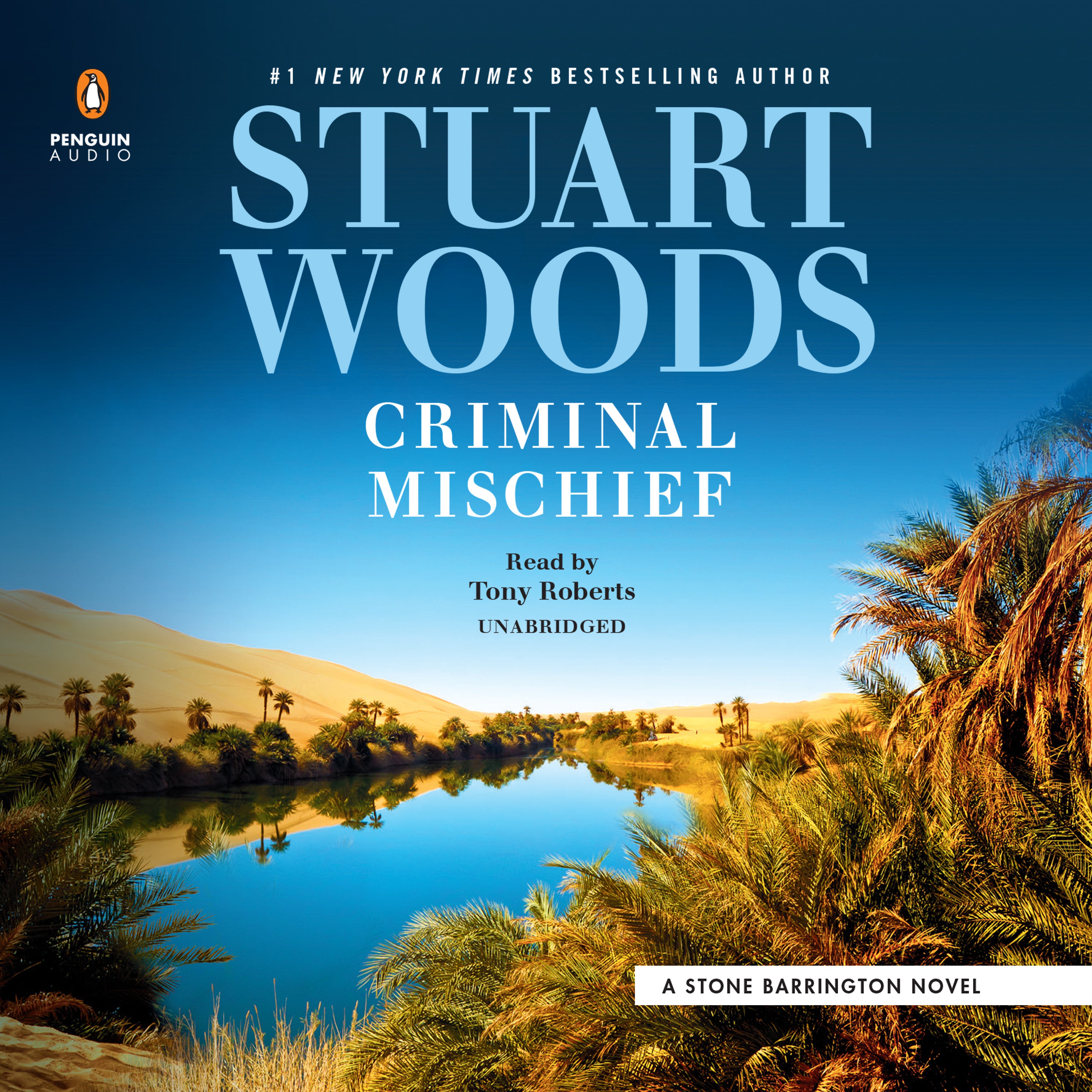 Criminal Mischief