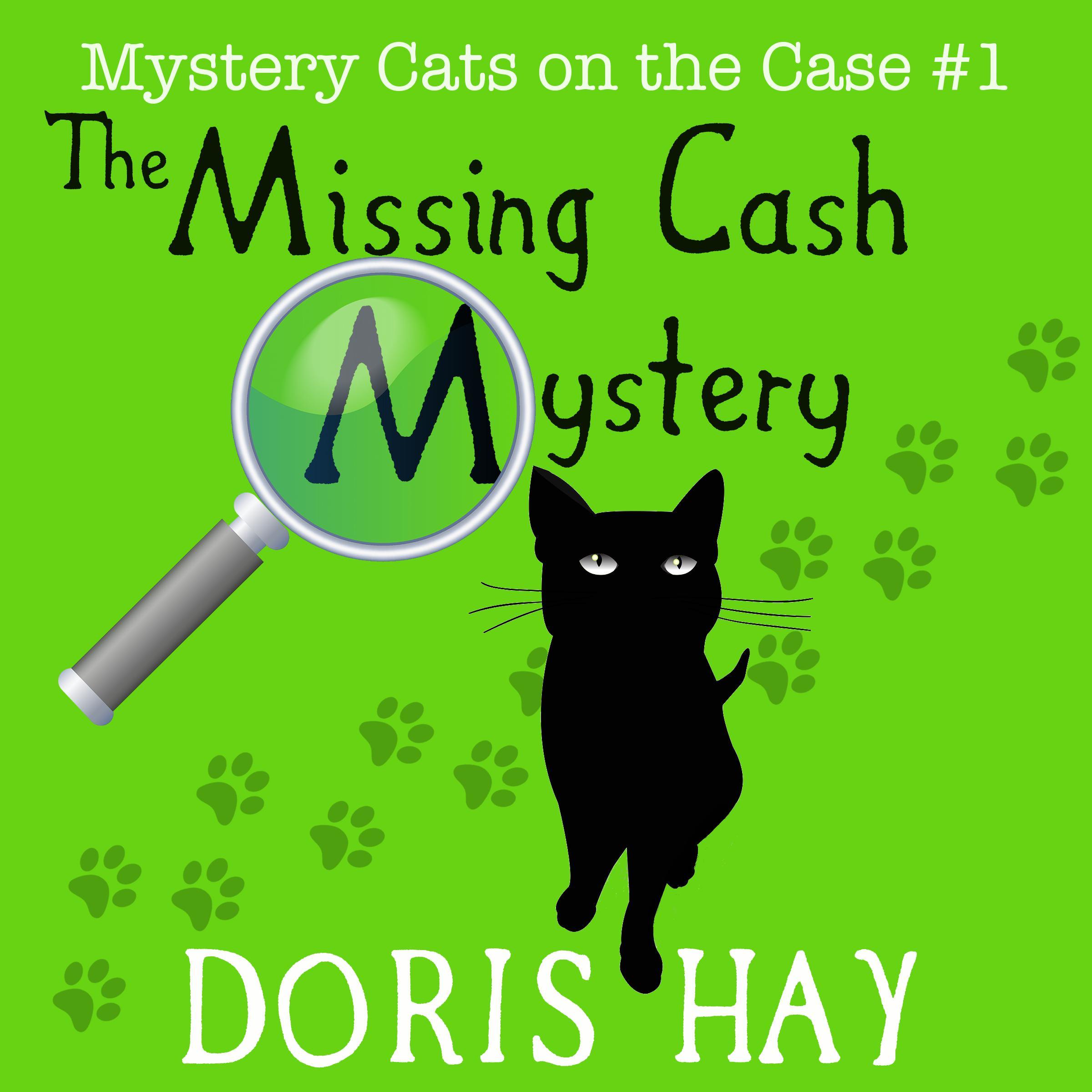 The Missing Cash Mystery