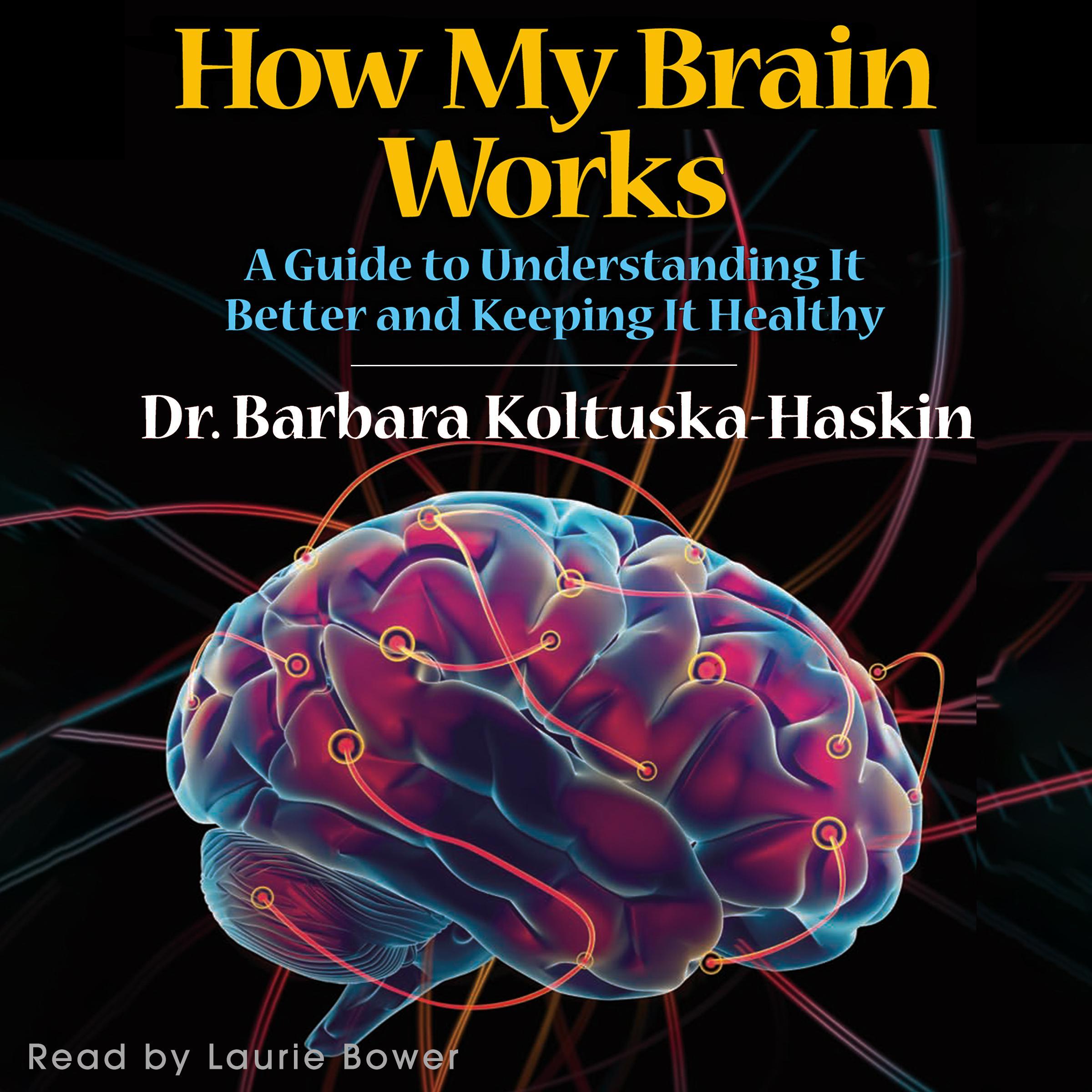 How My Brain Works A Guide to Understanding It Better and Keeping It Healthy