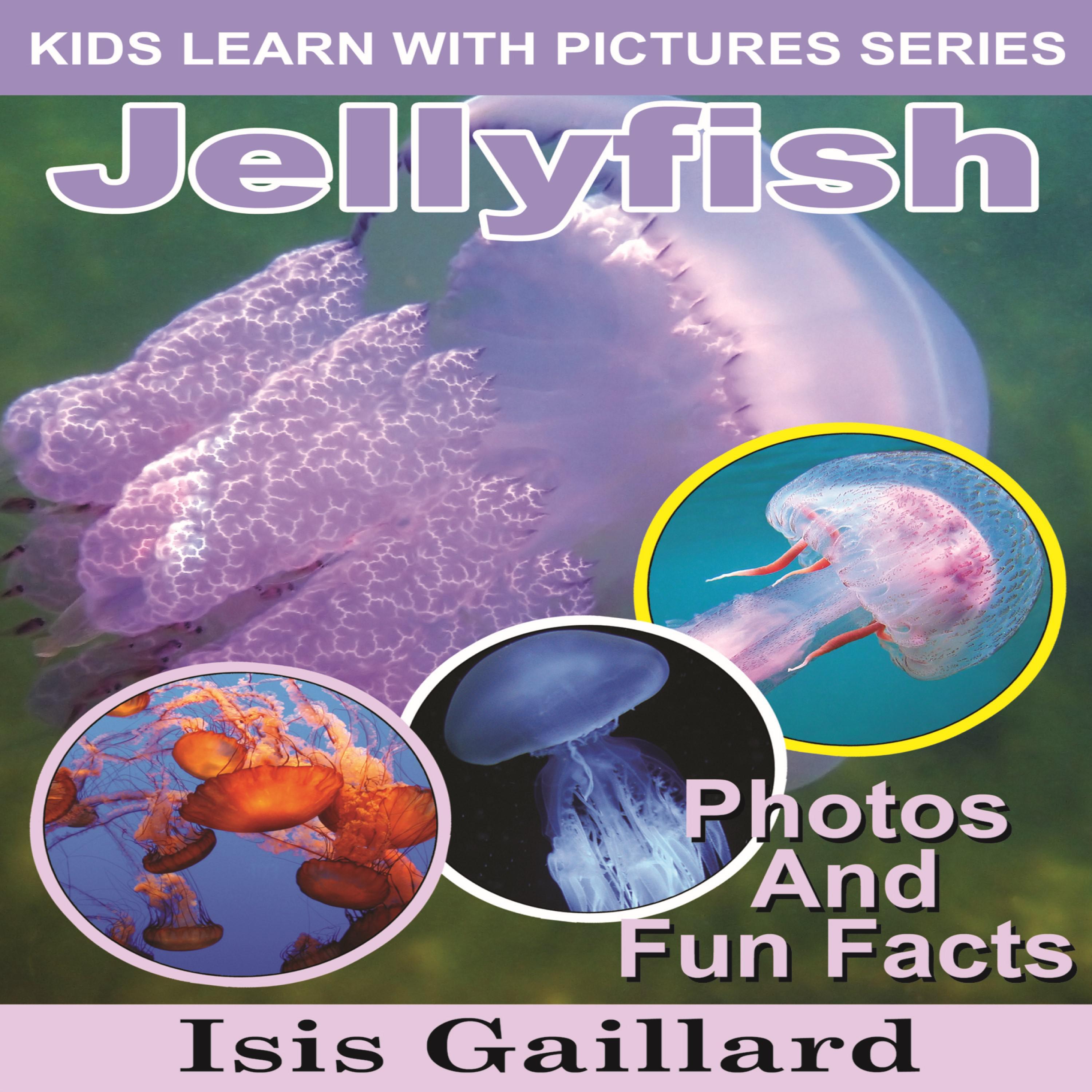 Jellyfish