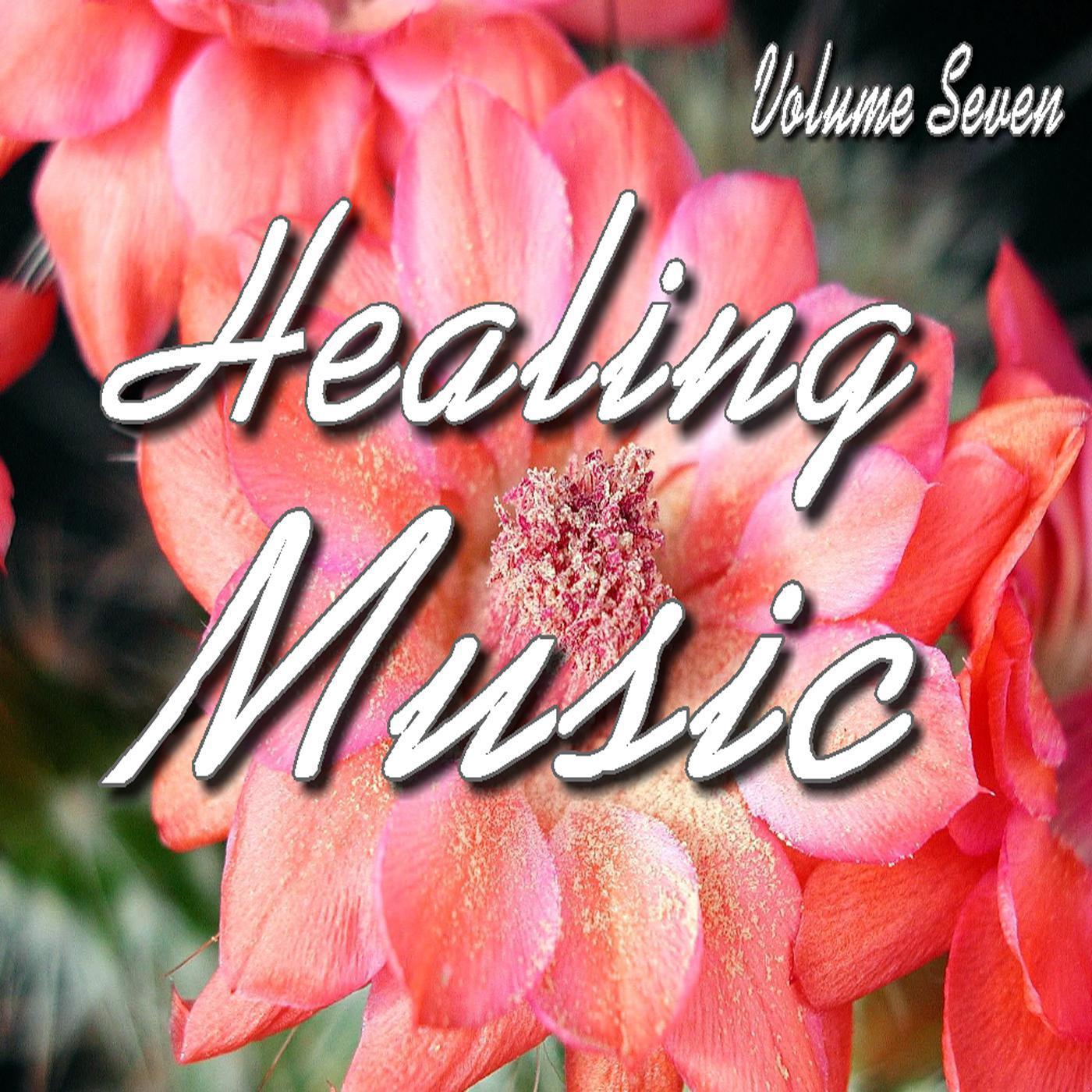 Healing Music Vol. 7