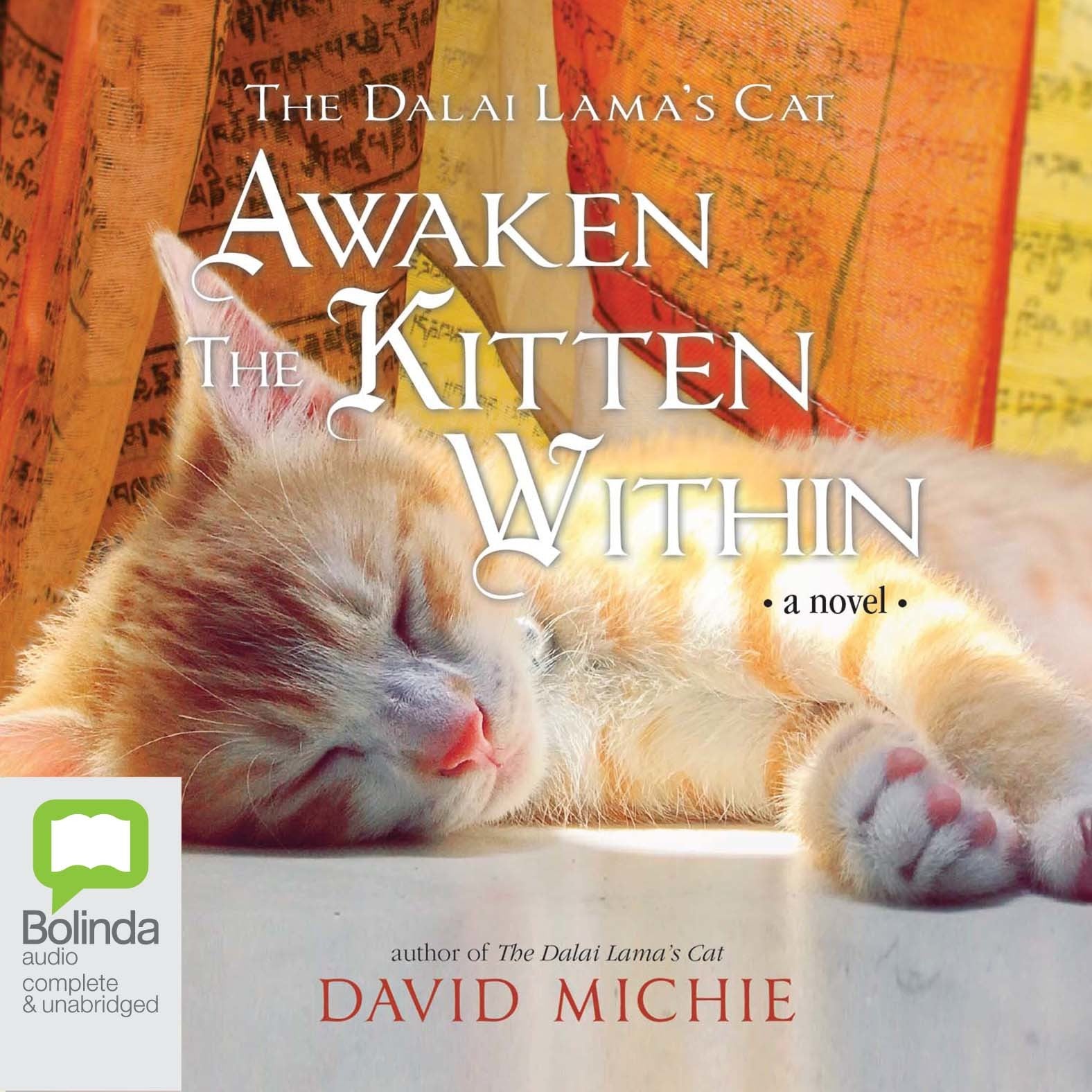 Awaken the Kitten Within