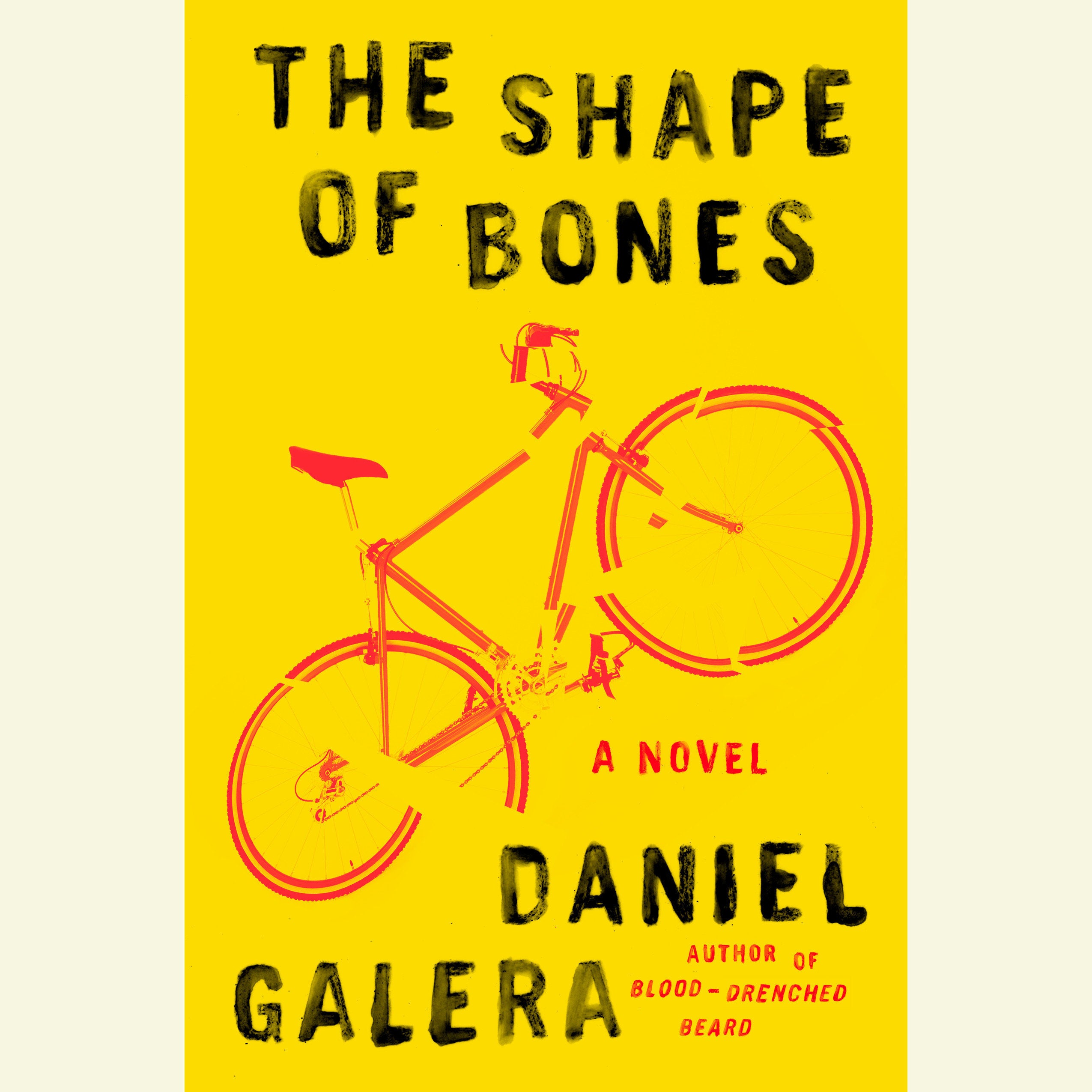 The Shape of Bones