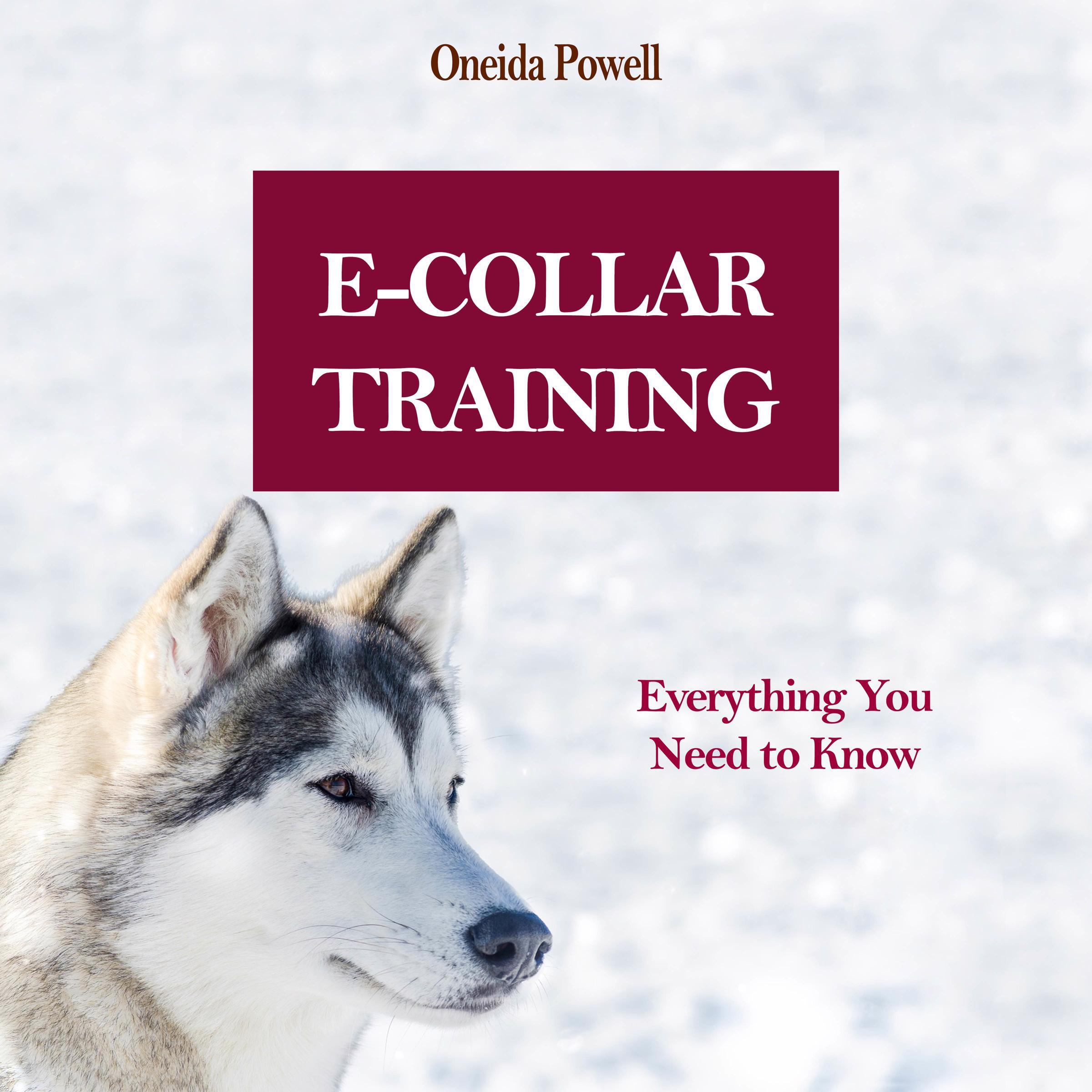 E-COLLAR TRAINING: