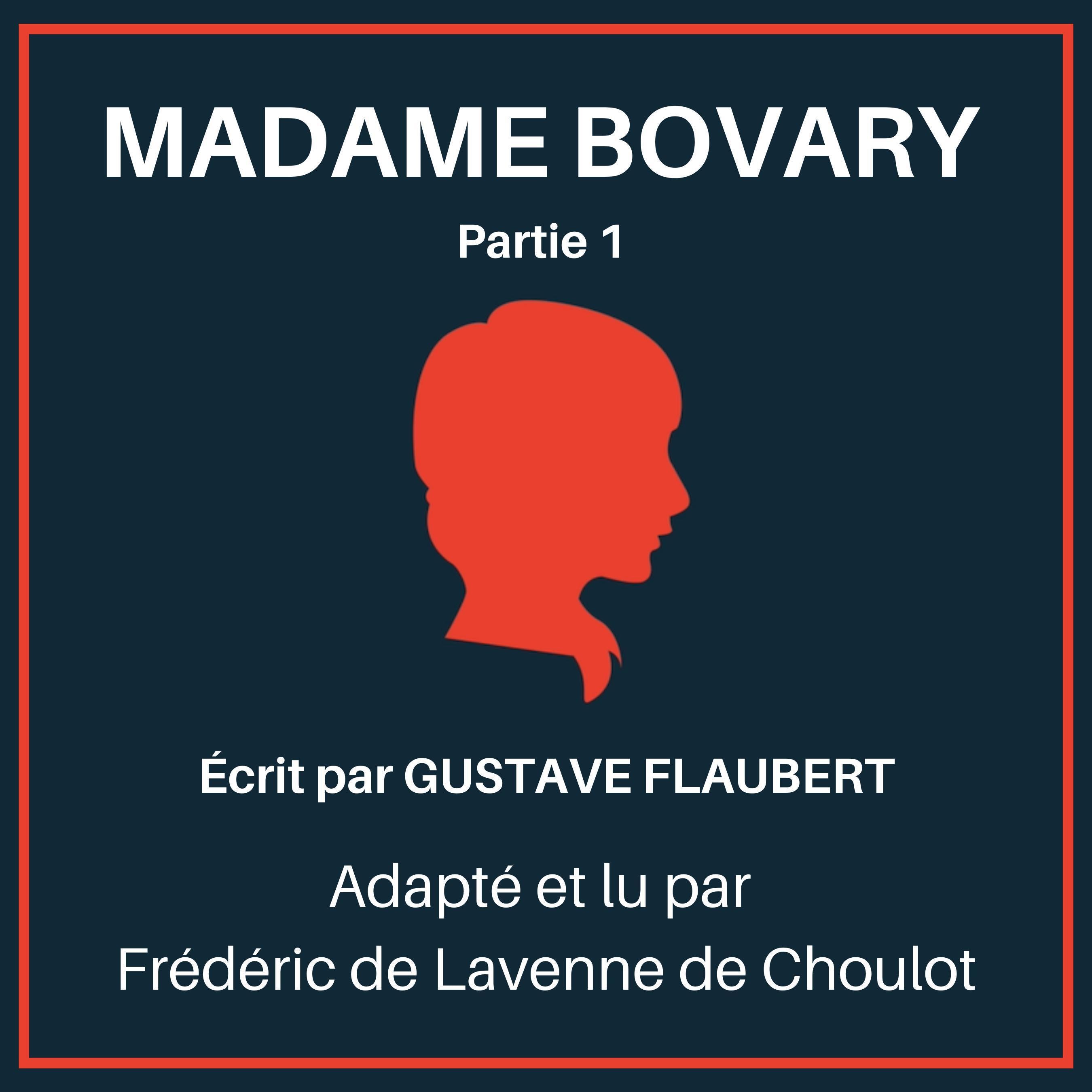 Madame Bovary - Partie 1