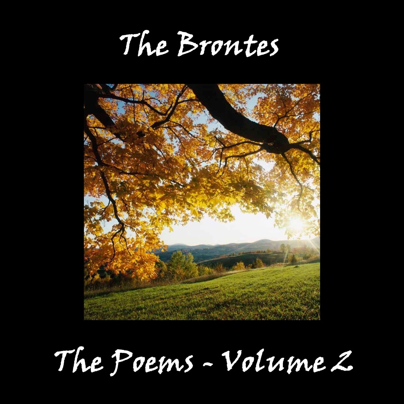 The Brontës’ Poetry, Vol. 2