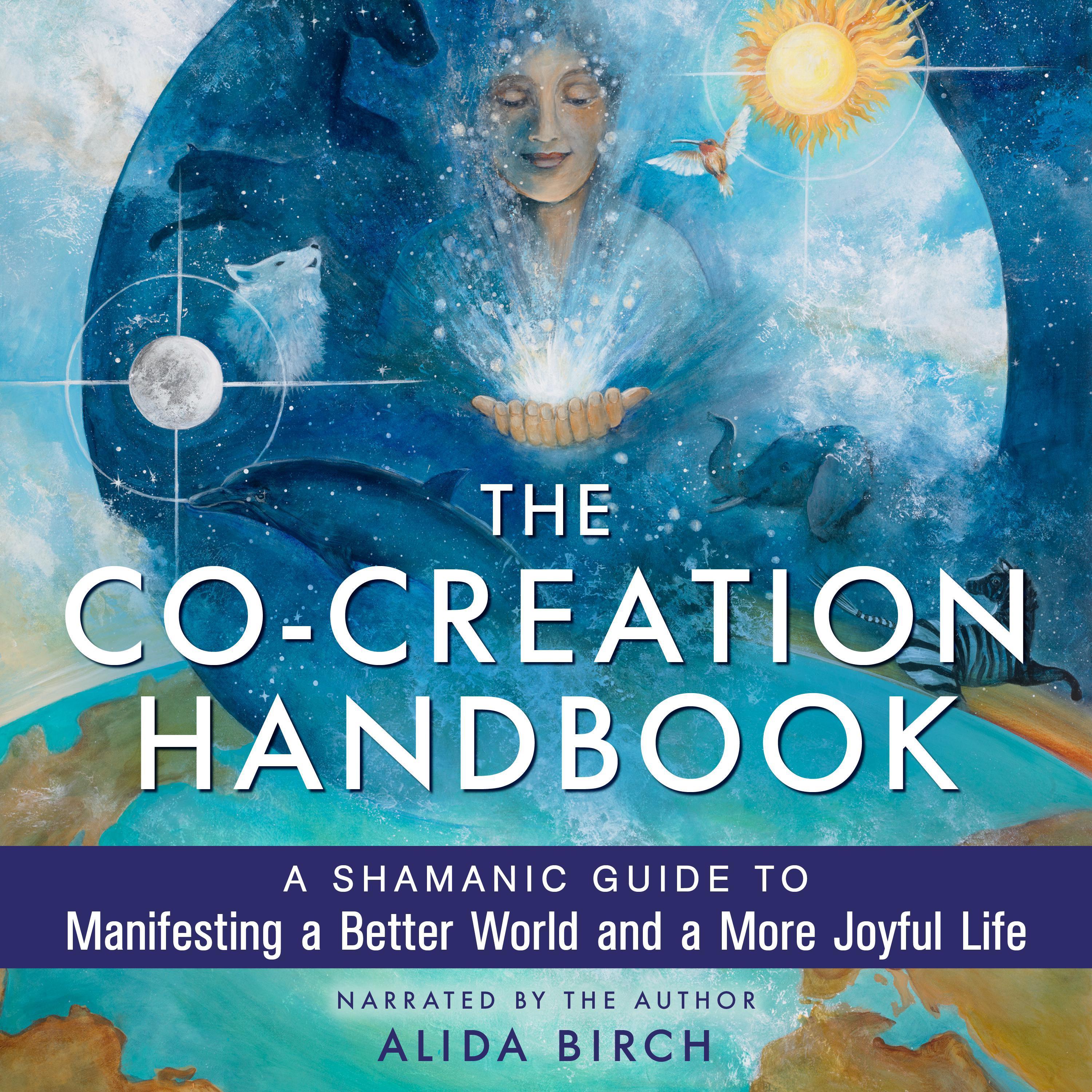 The Co-Creation Handbook