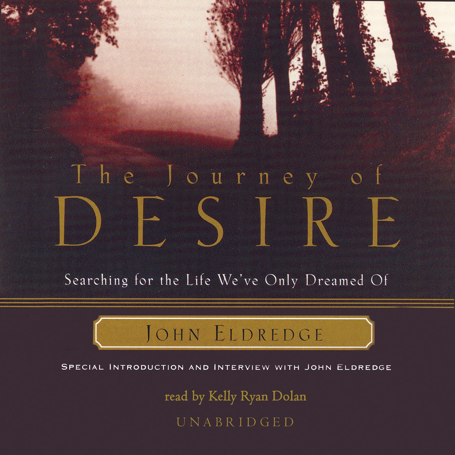 The Journey of Desire