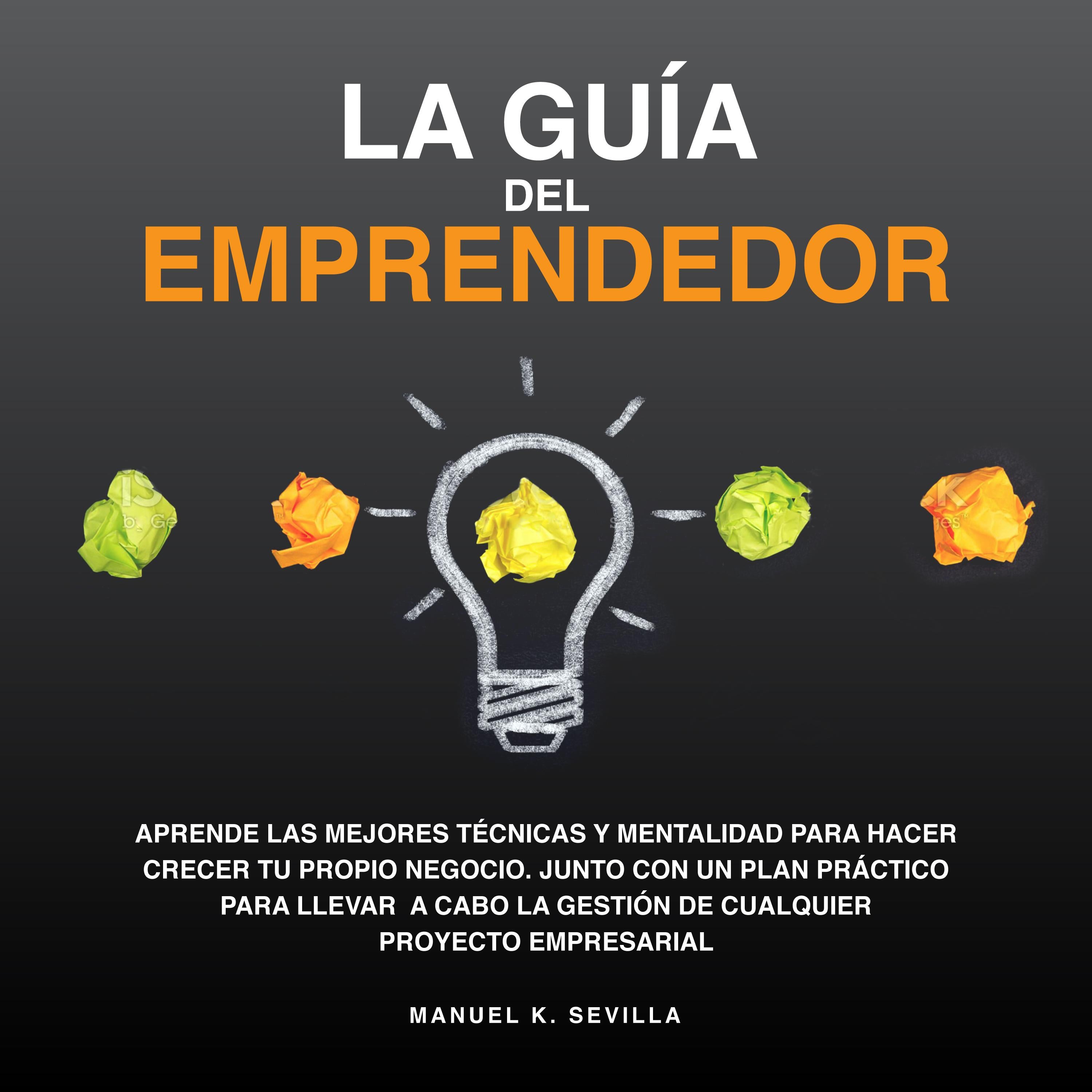 La Guía Del Emprendedor