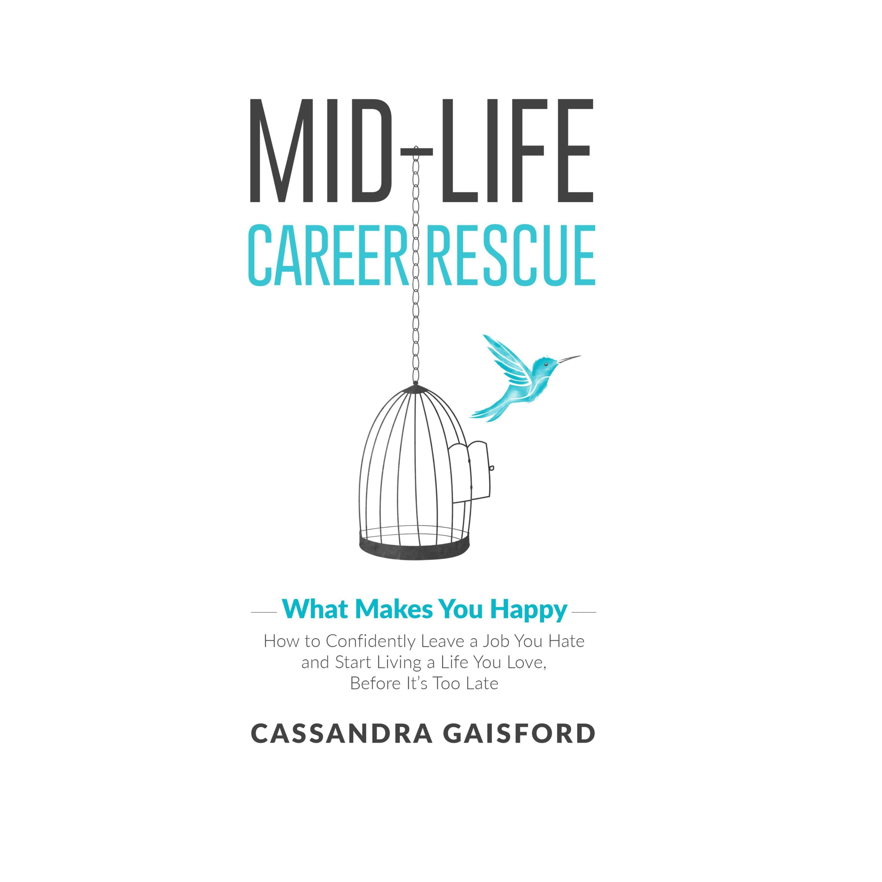 Midlife Career Rescue: What Makes You Happy