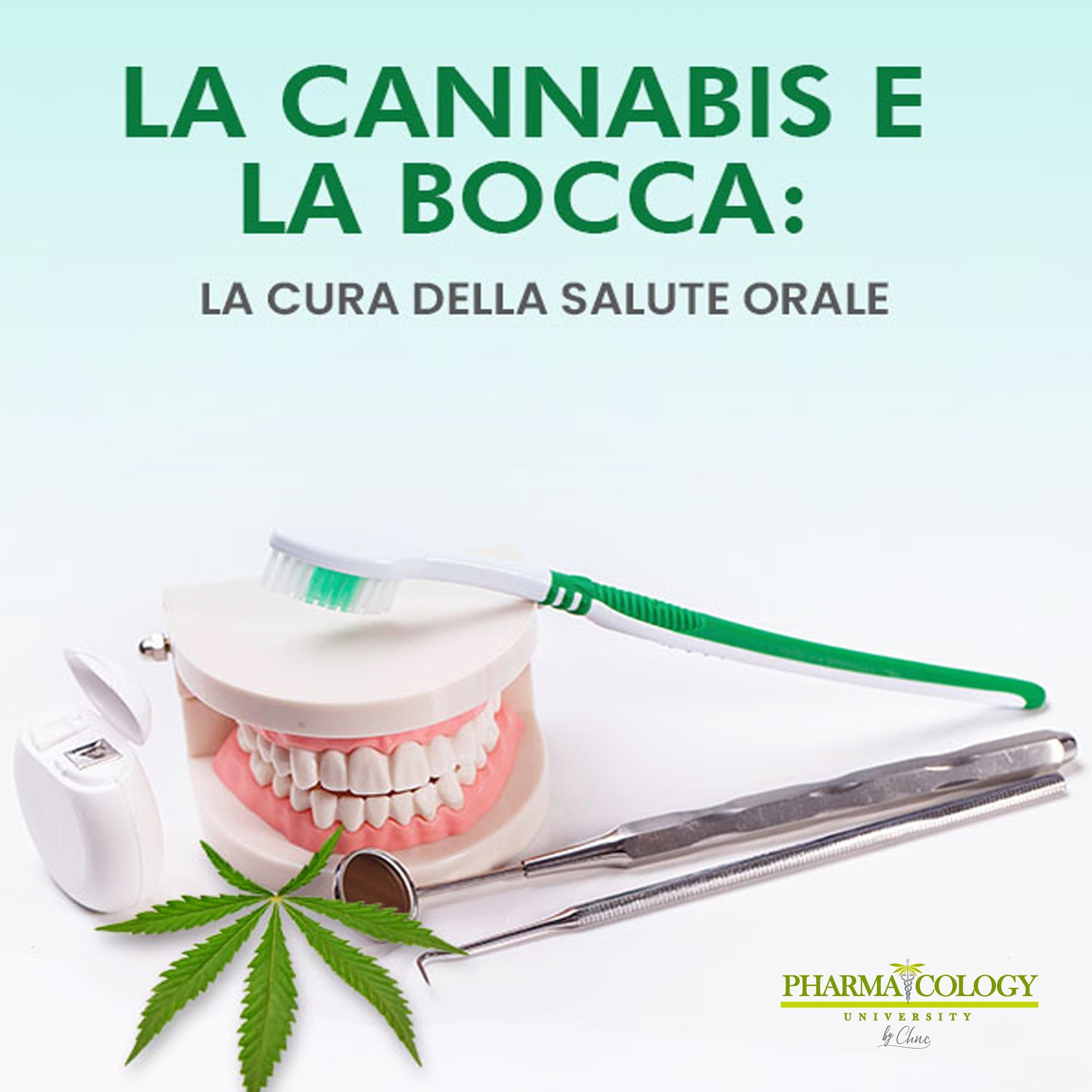 La cannabis e la bocca: la cura della salute orale