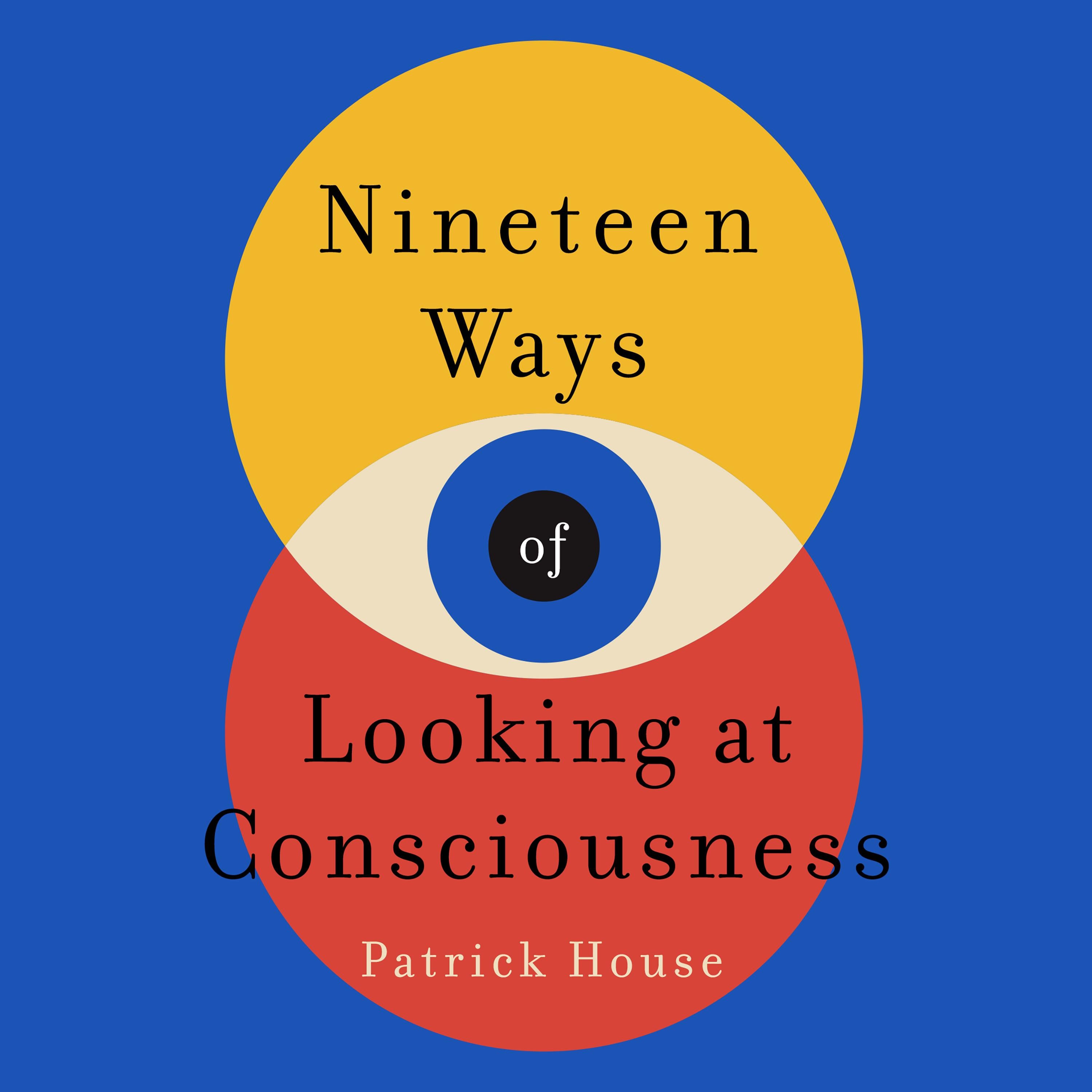 Nineteen Ways of Looking at Consciousness