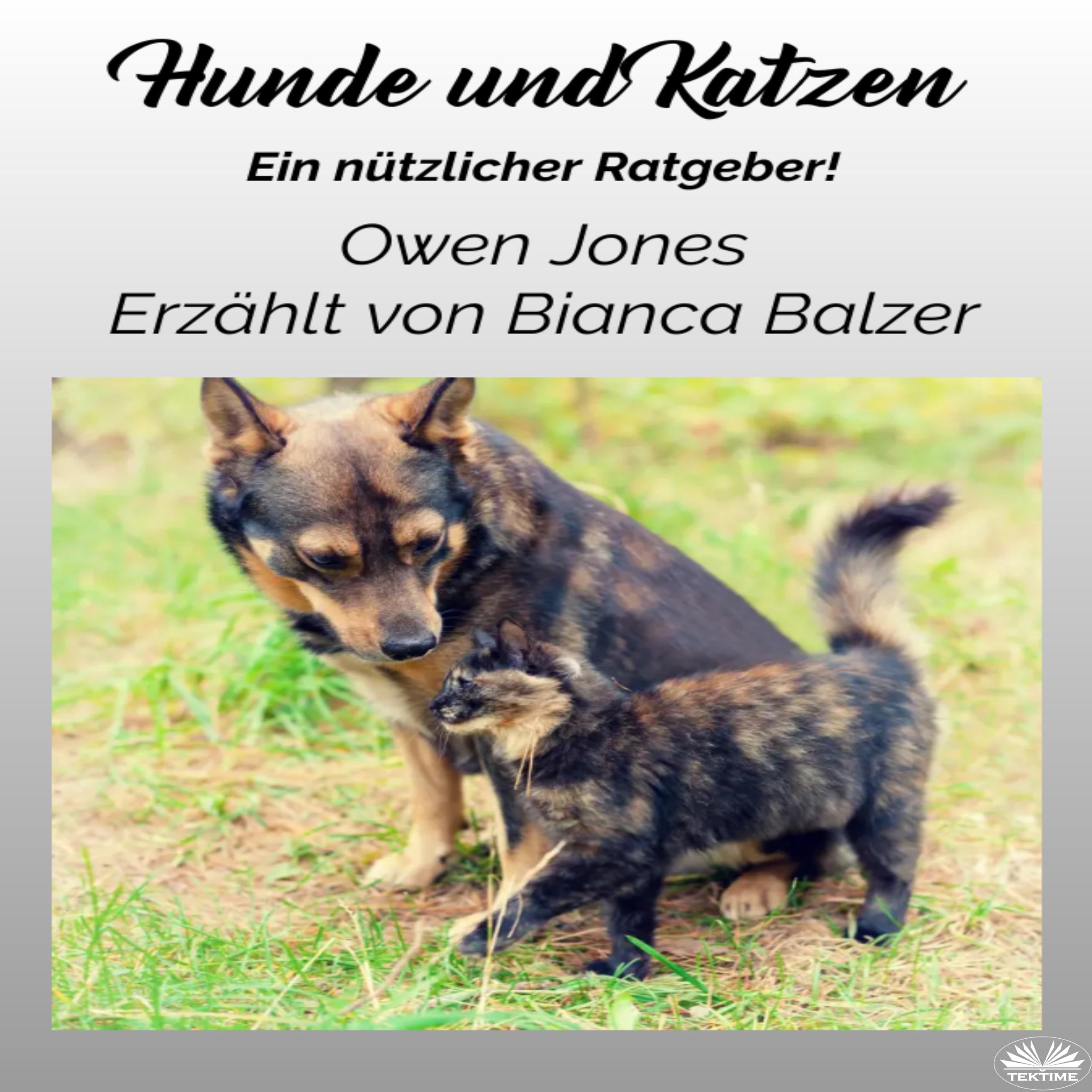 Hunde und Katzen