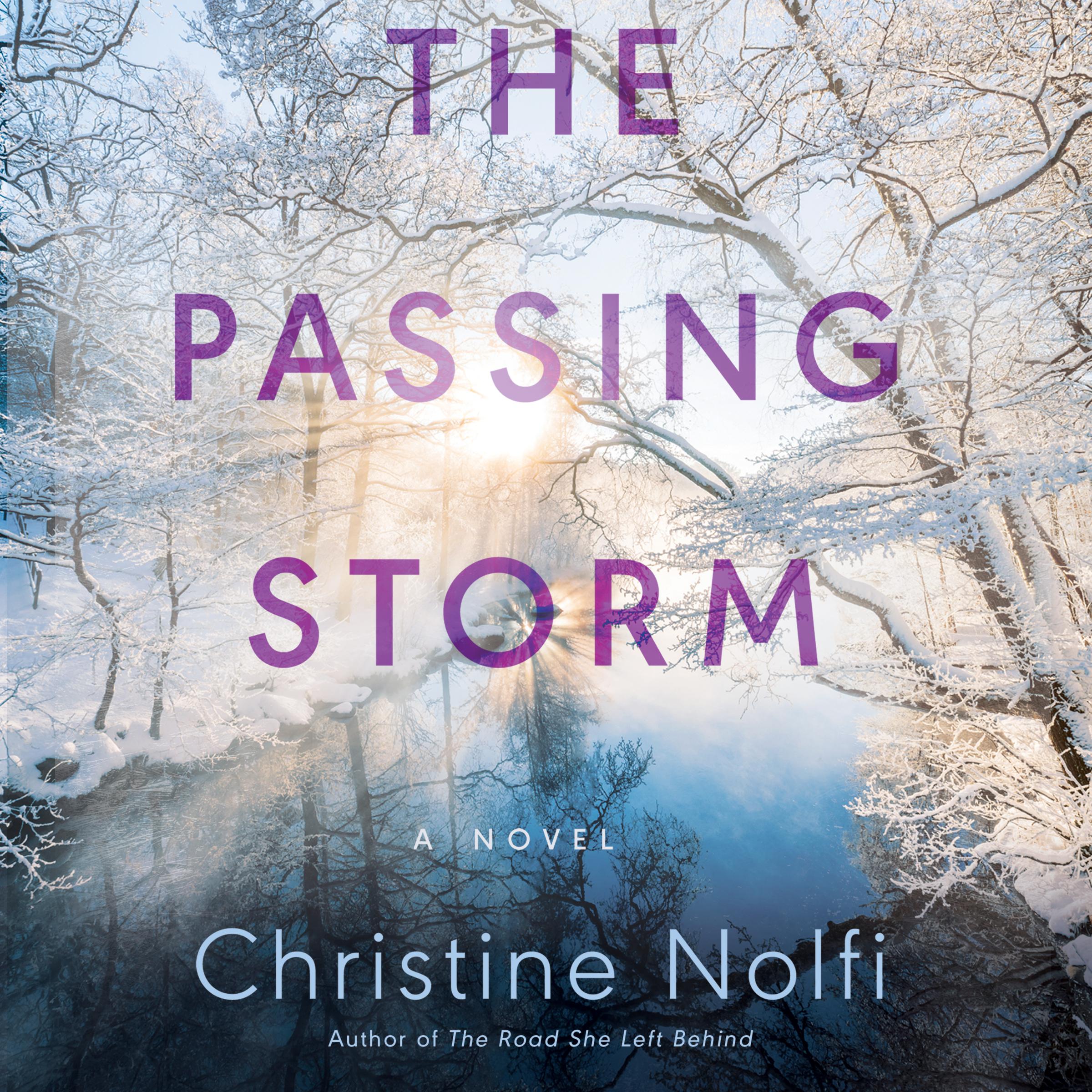 The Passing Storm