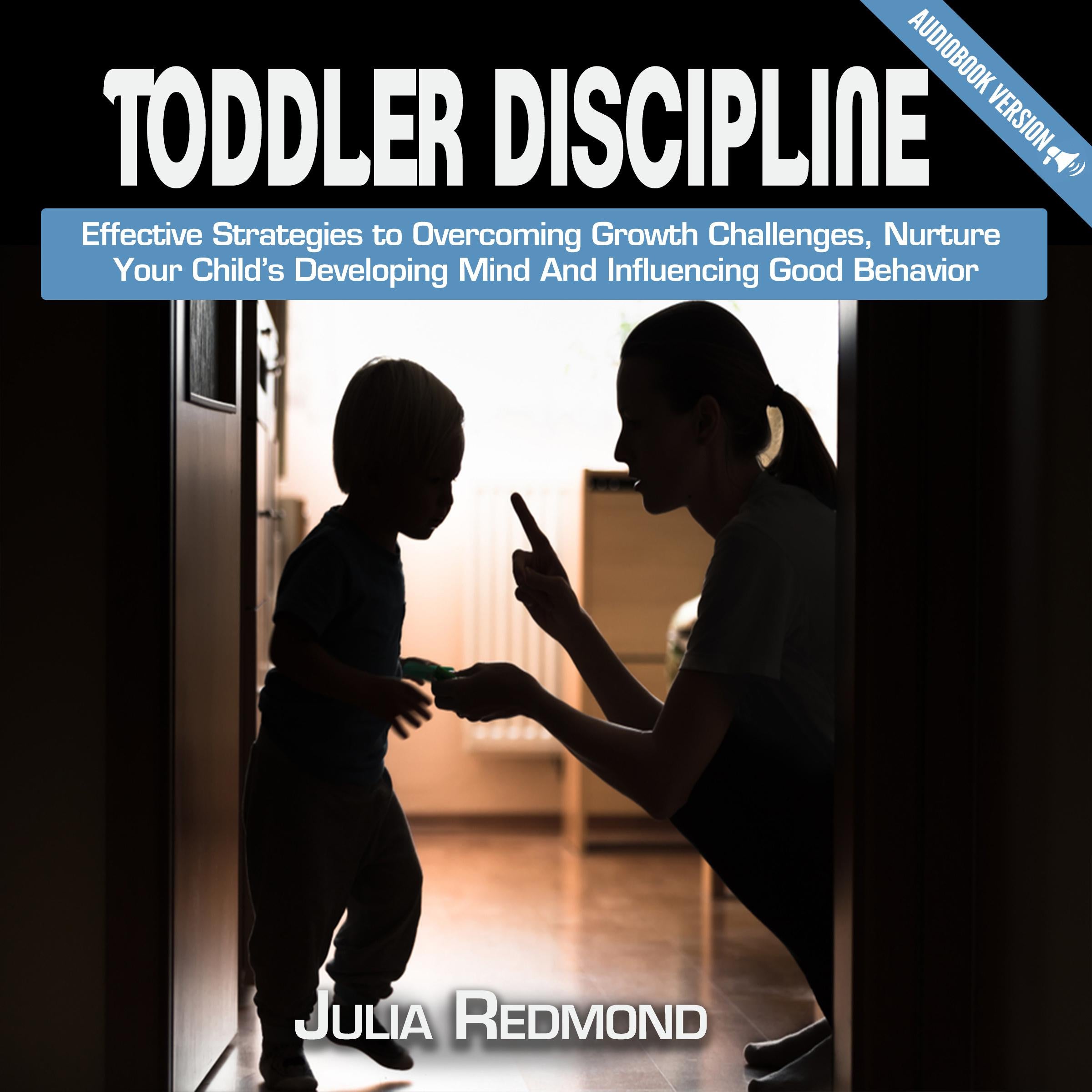 Toddler Discipline