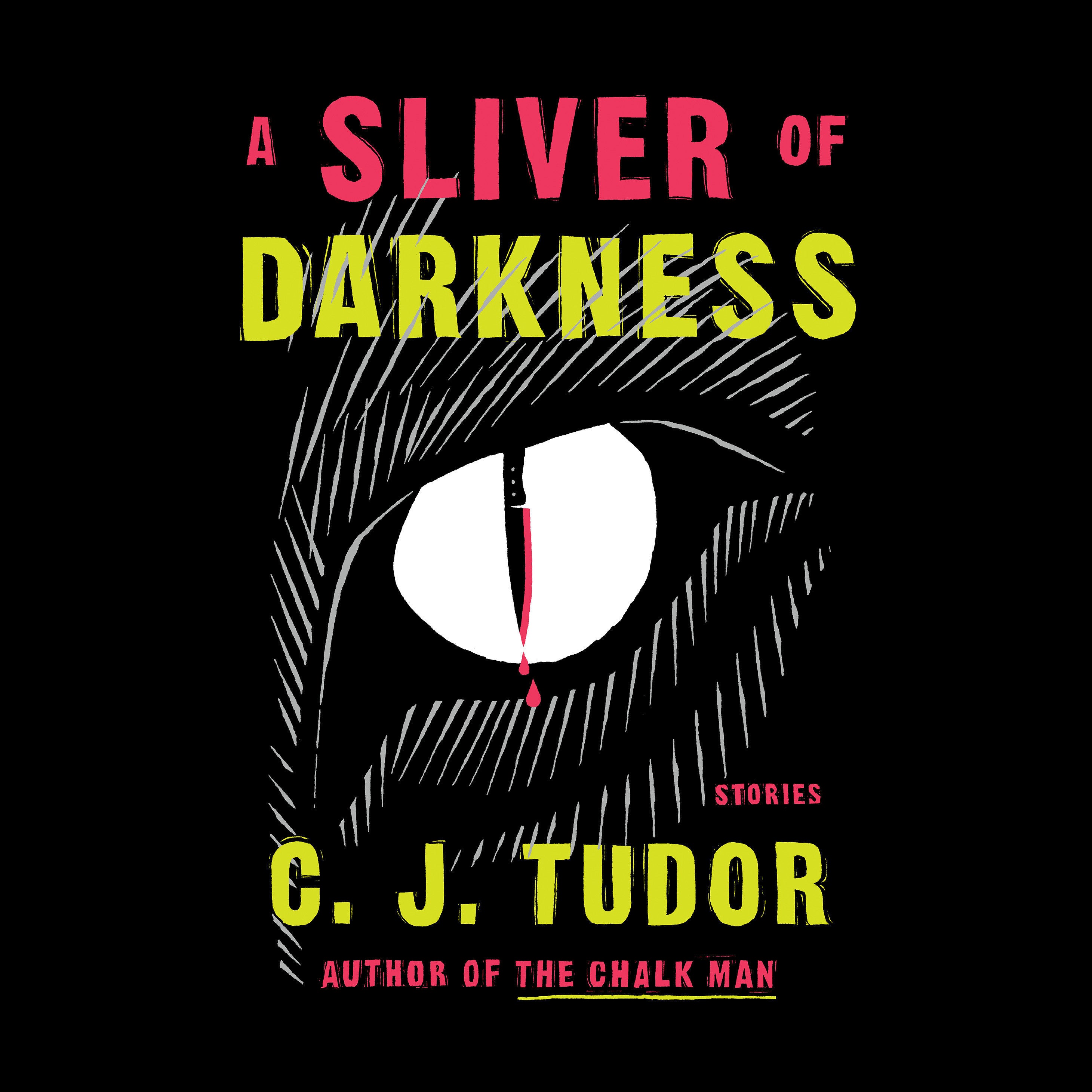 A Sliver of Darkness