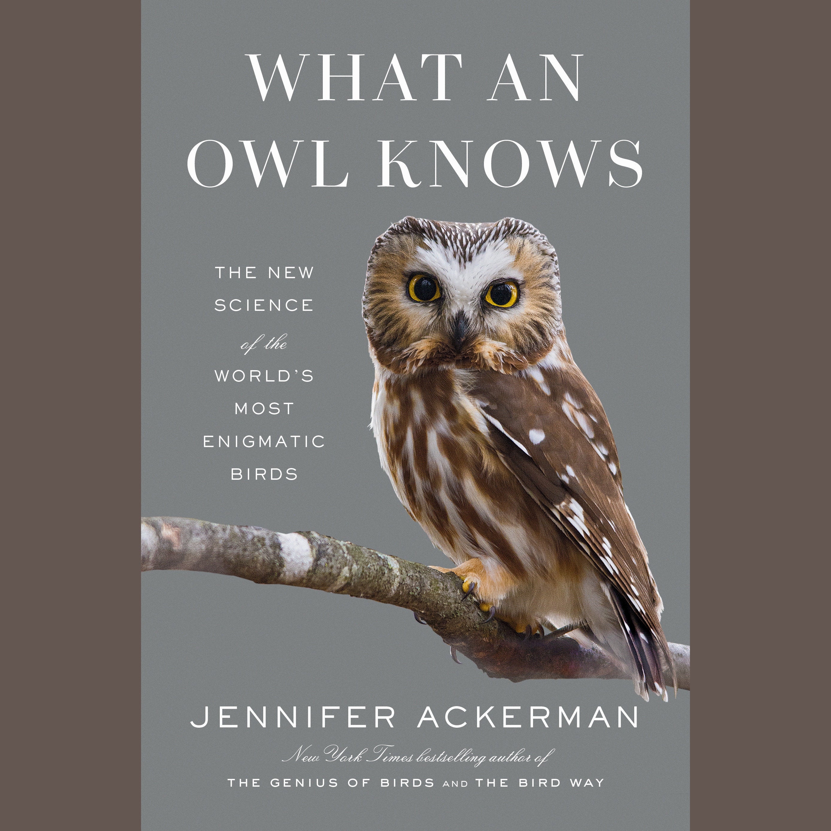 What an Owl Knows