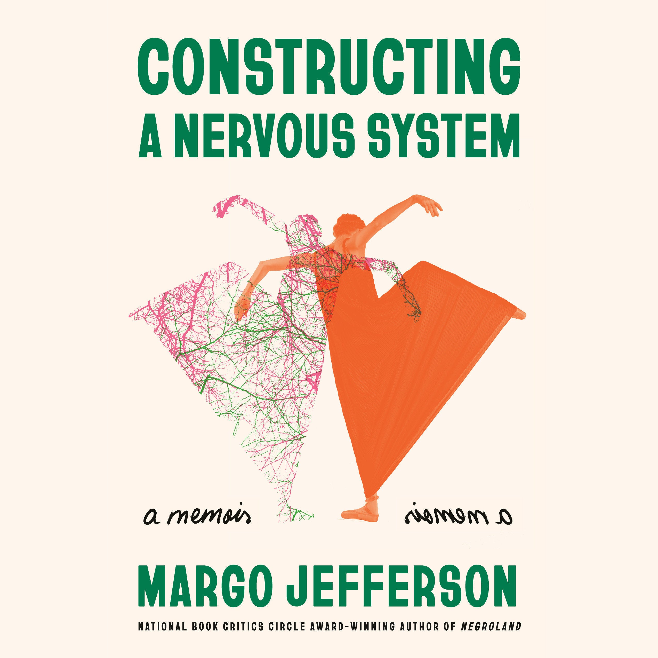 Constructing a Nervous System