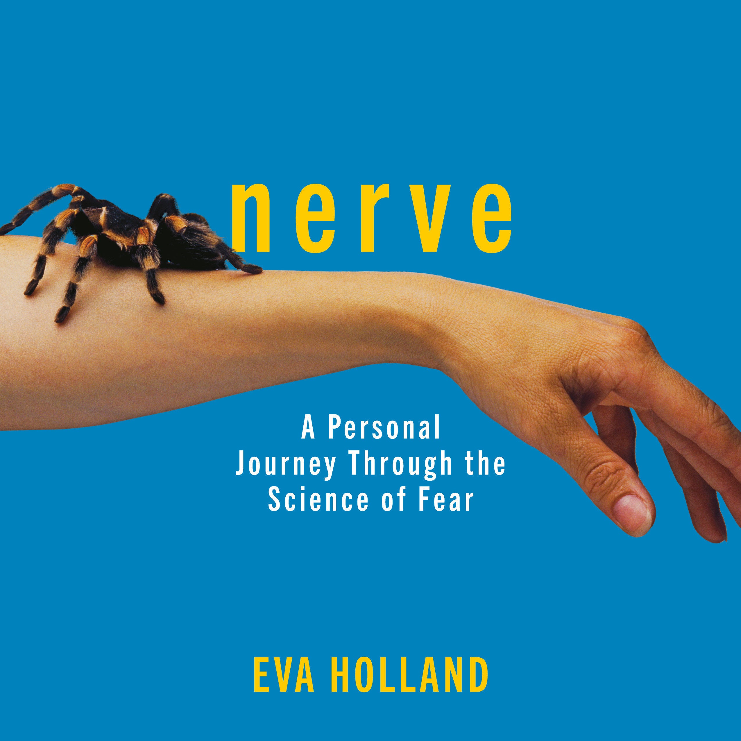 Nerve