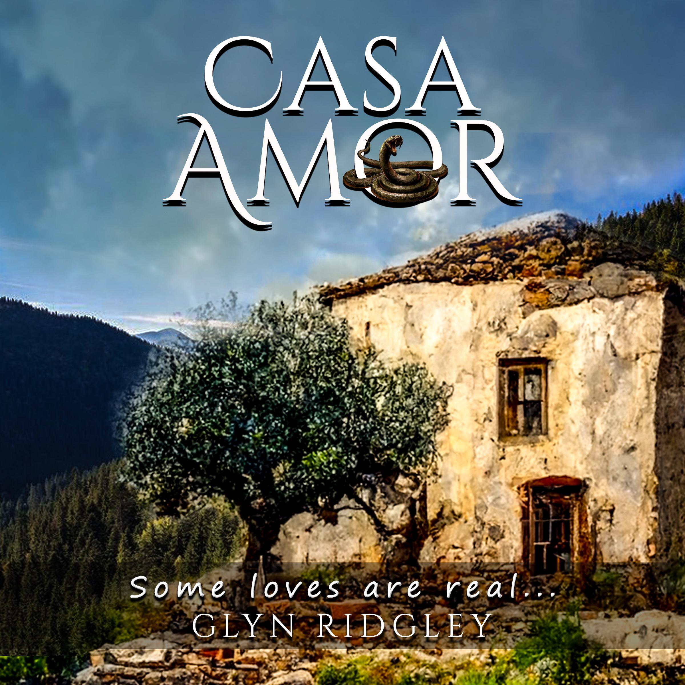 CASA AMOR