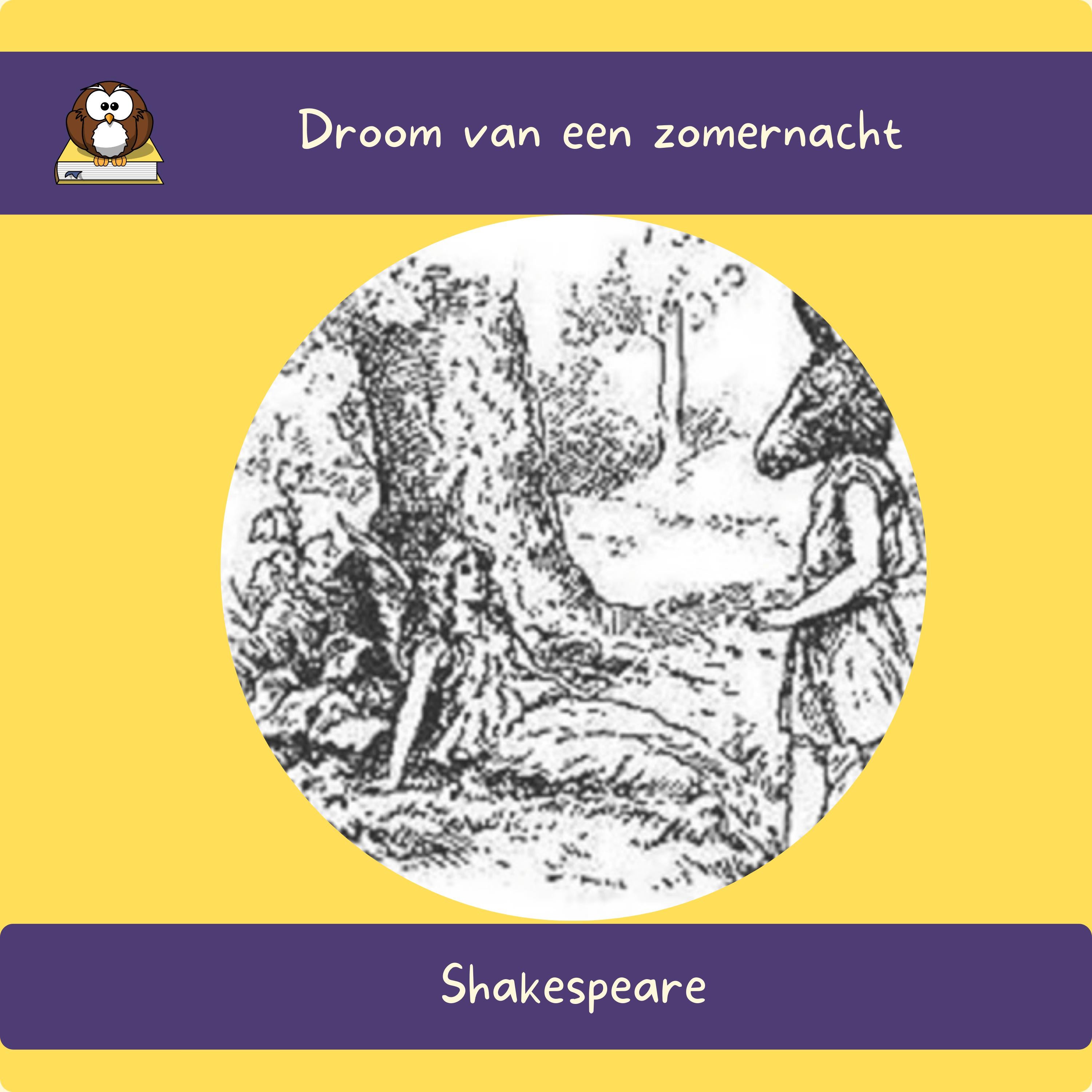 Droom van een zomernacht