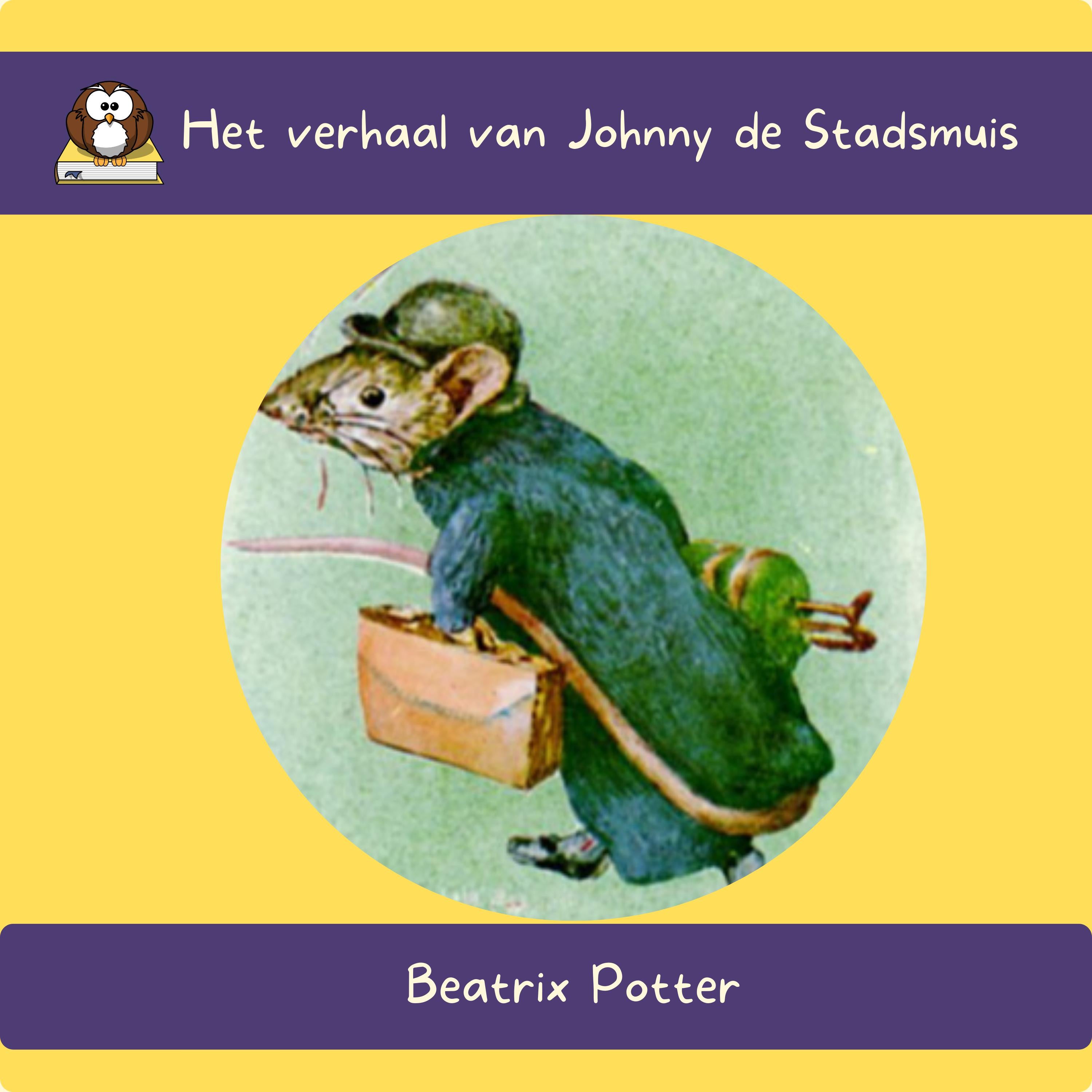 Het verhaal van Johnny de Stadsmuis