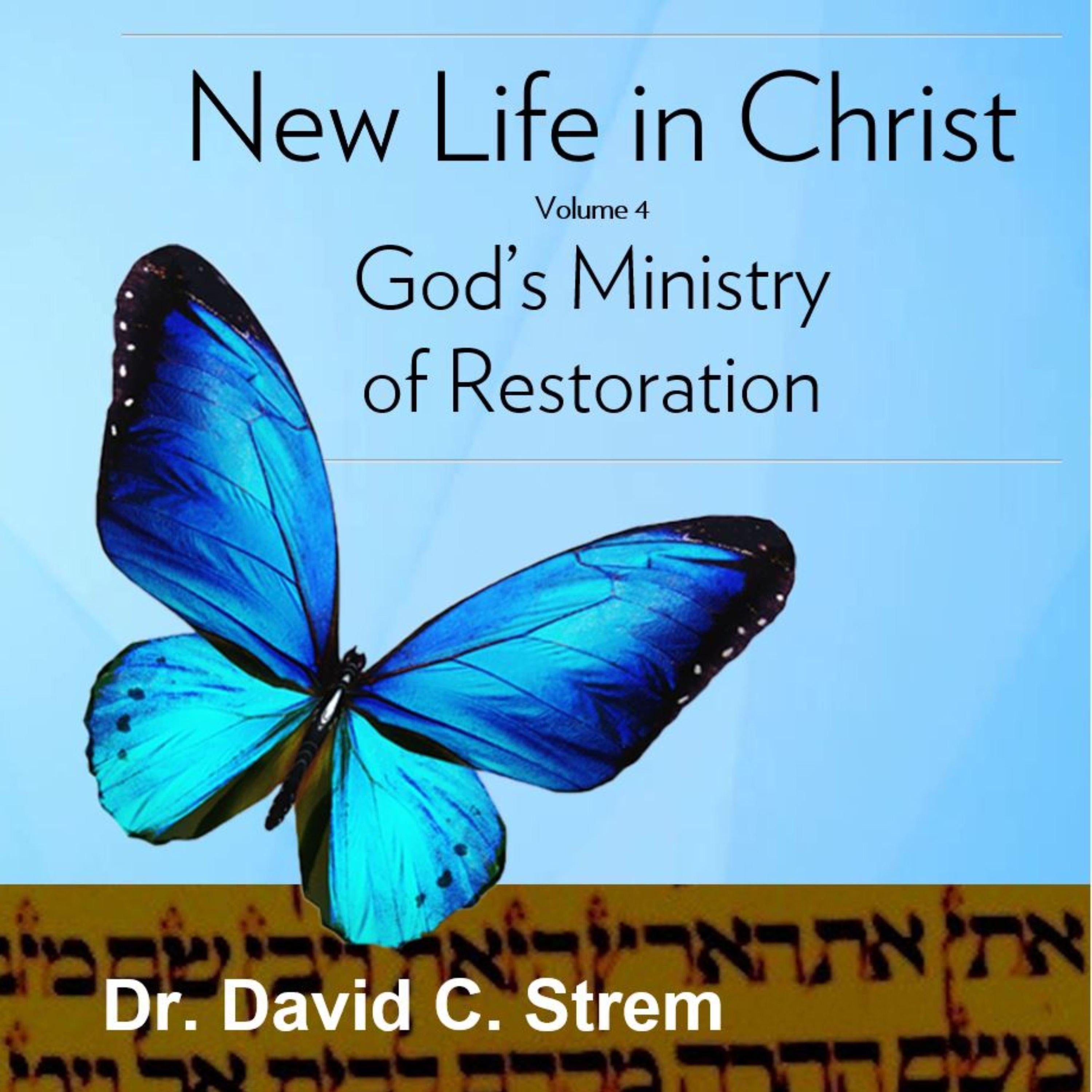 New Life in Christ, Volume 4