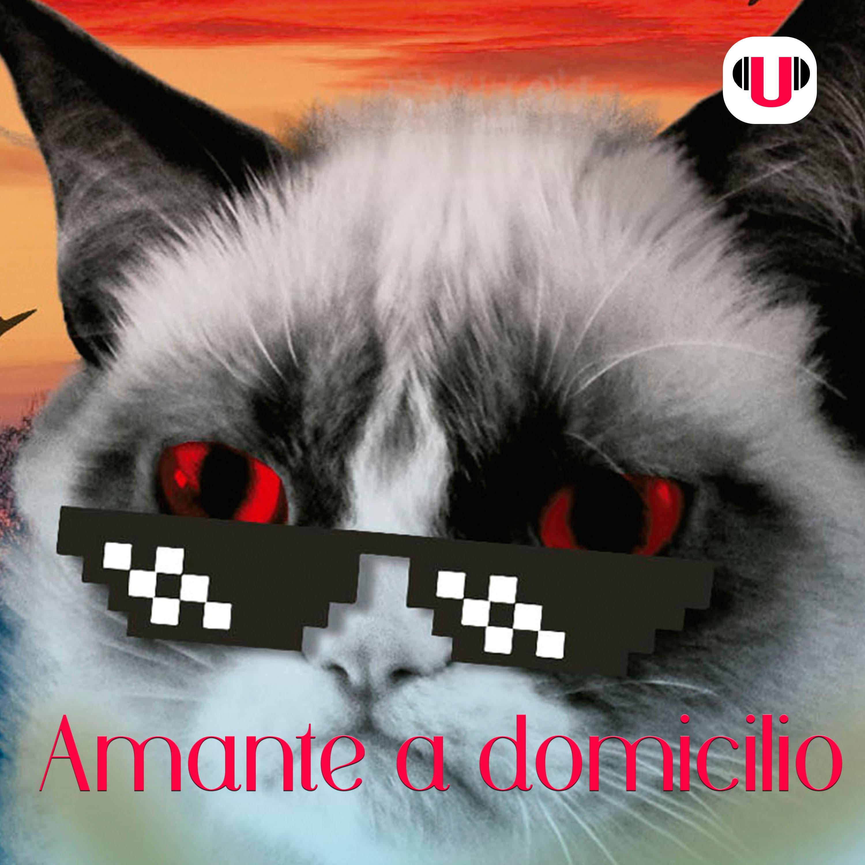 U_CAT: AMANTE A DOMICILIO