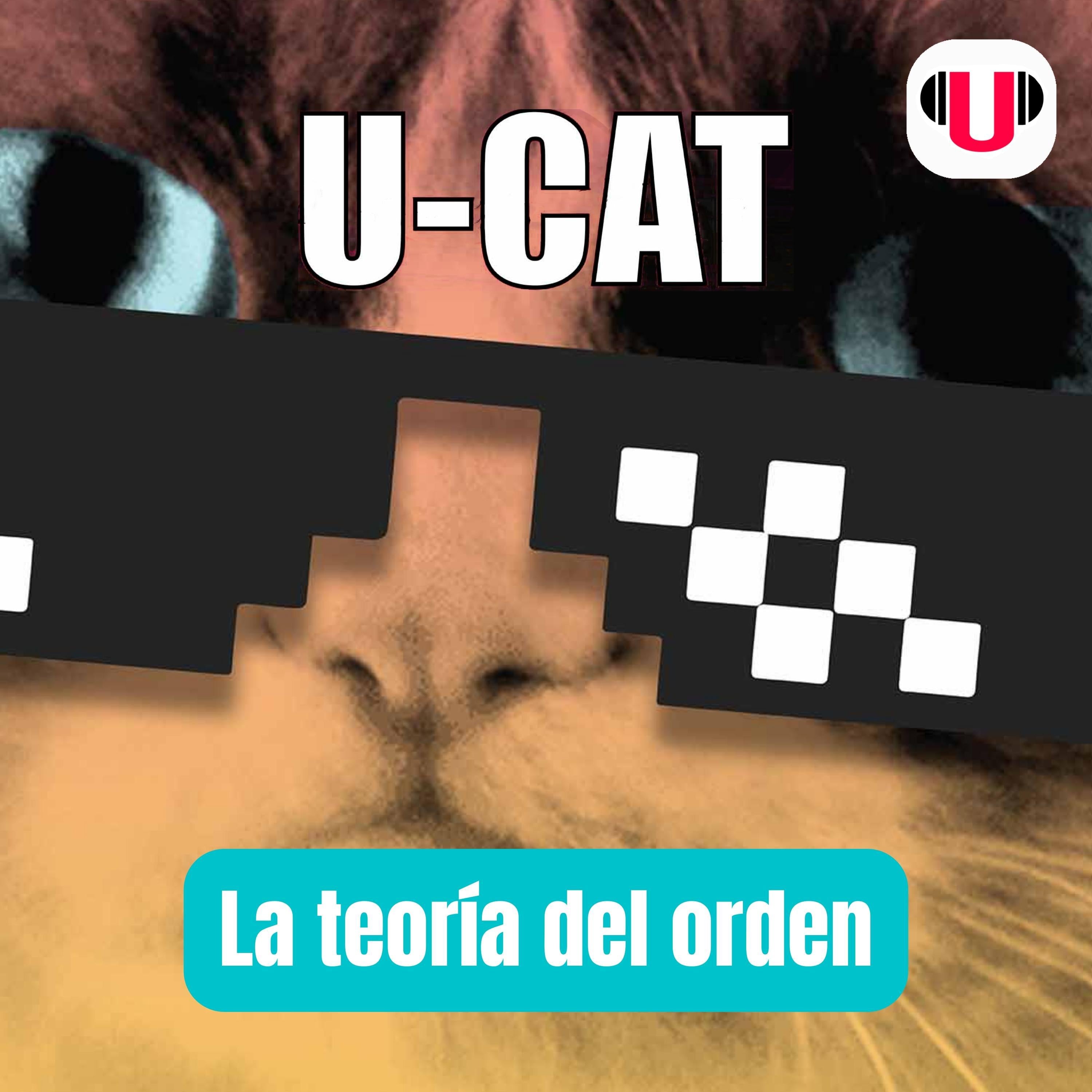 U_CAT: JOAQUIN Y CAMILA, LA TEORÍA DEL ORDEN