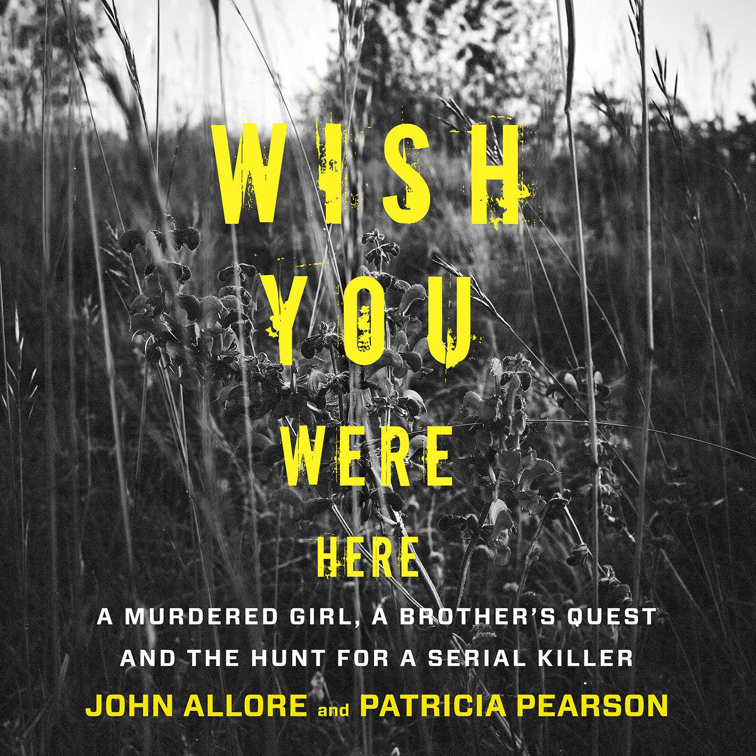 Wish You Were Here