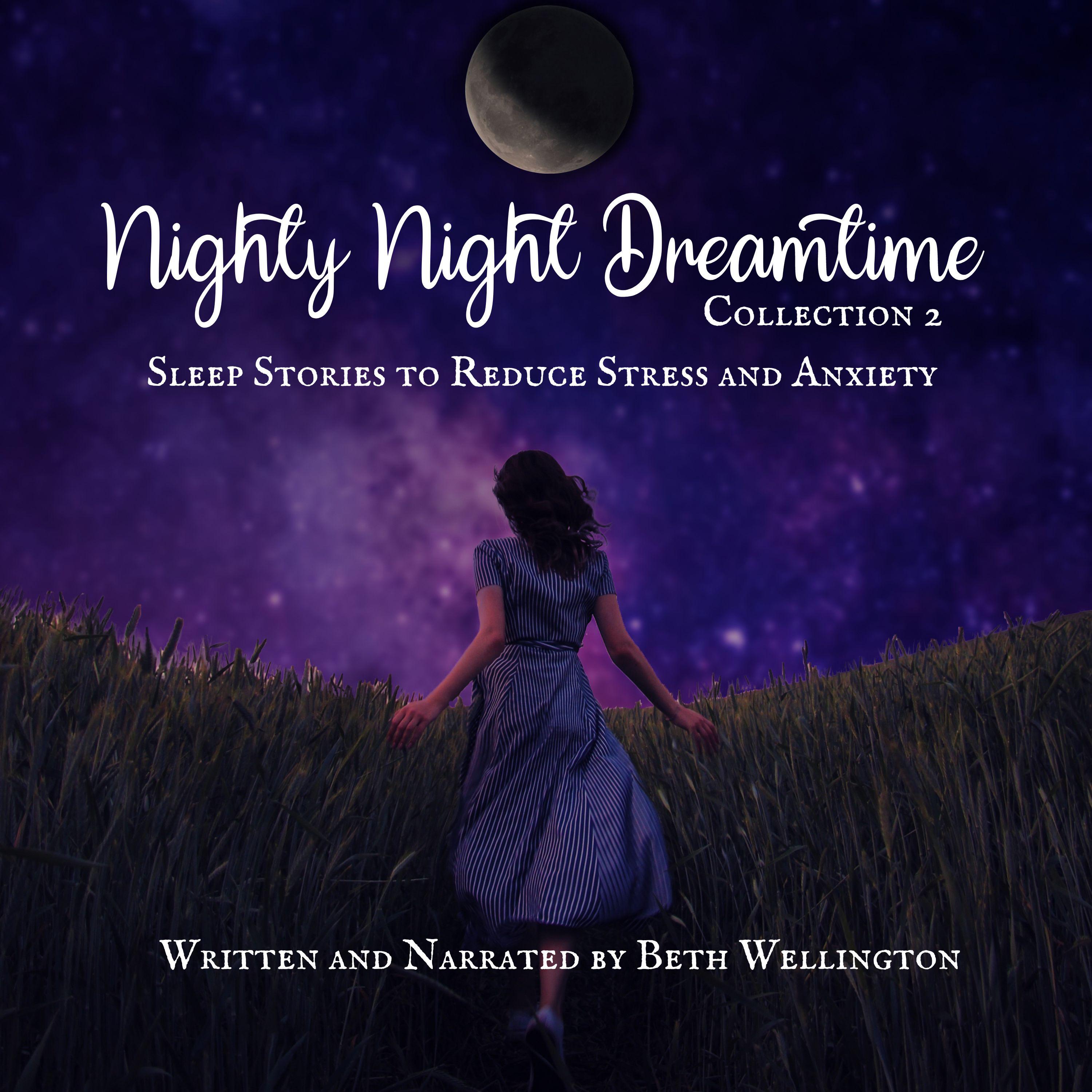 Nighty Night Dreamtime Collection 2