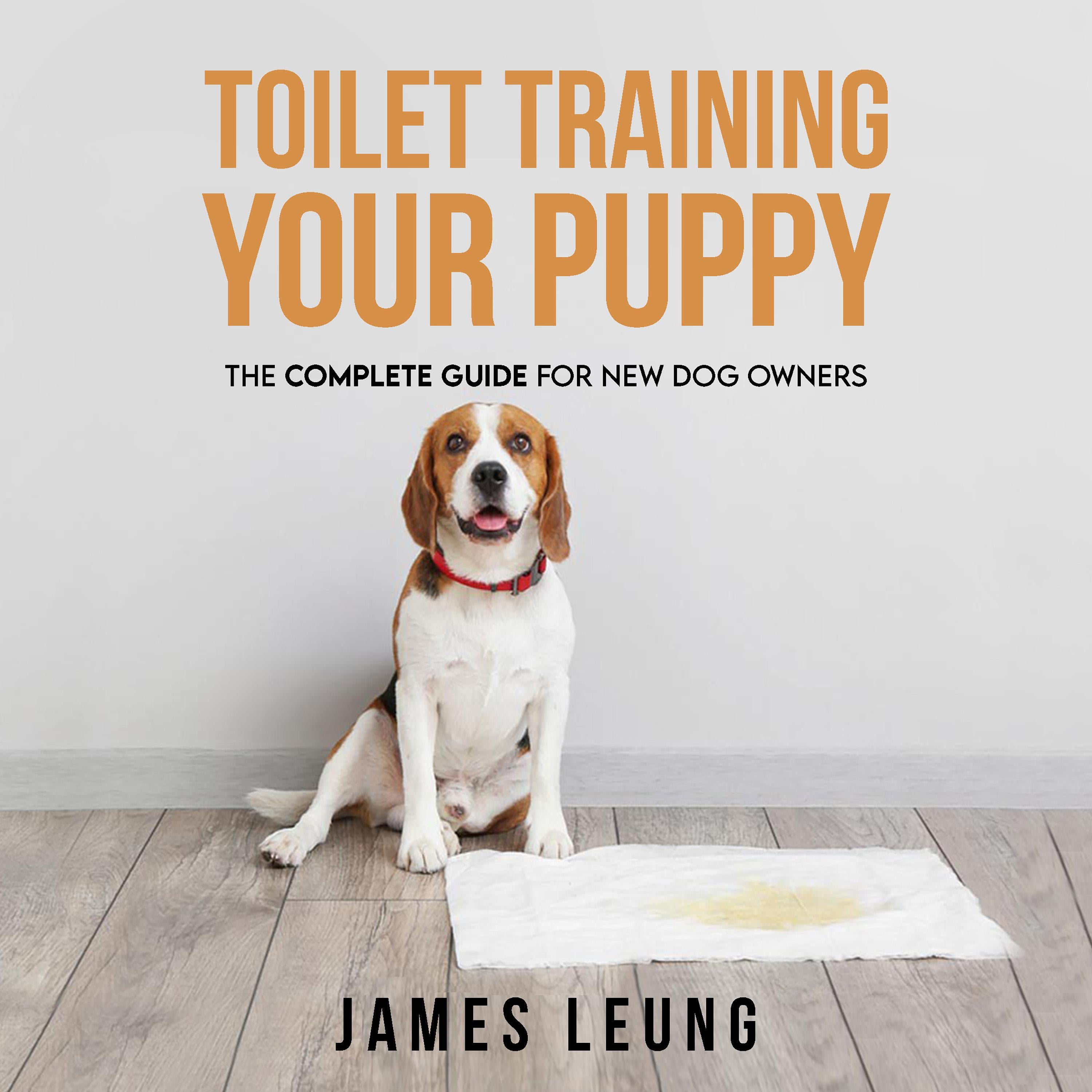 Toilet Training Your Puppy