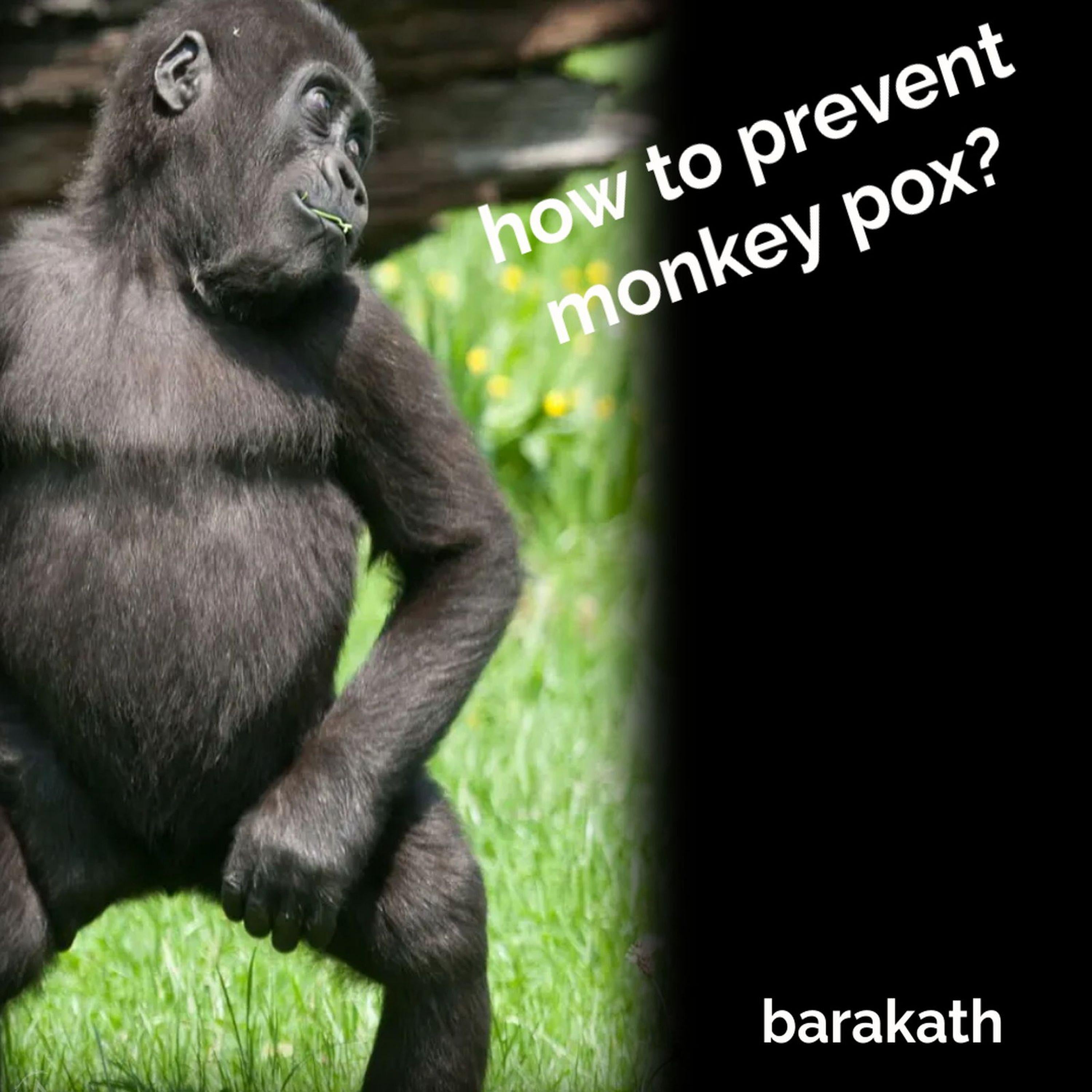 How to prevent monkey pox?