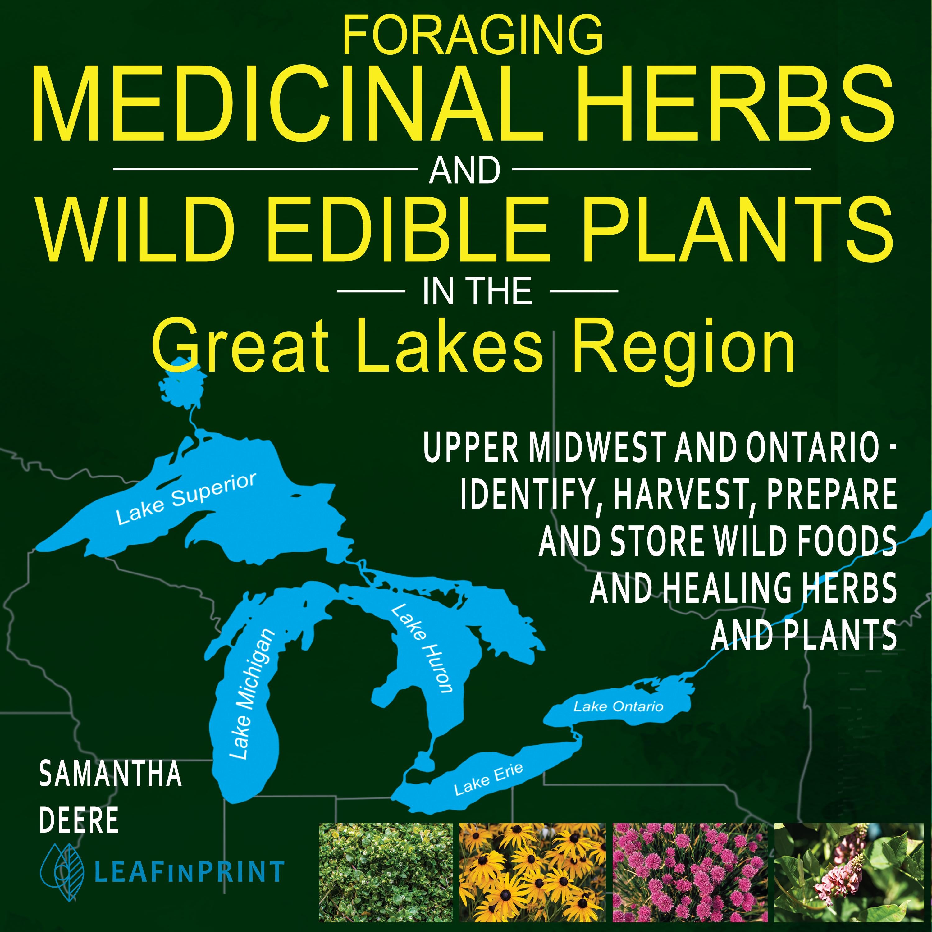 Foraging Medicinal Herbs and Wild Edible Plants in the Great Lakes Region