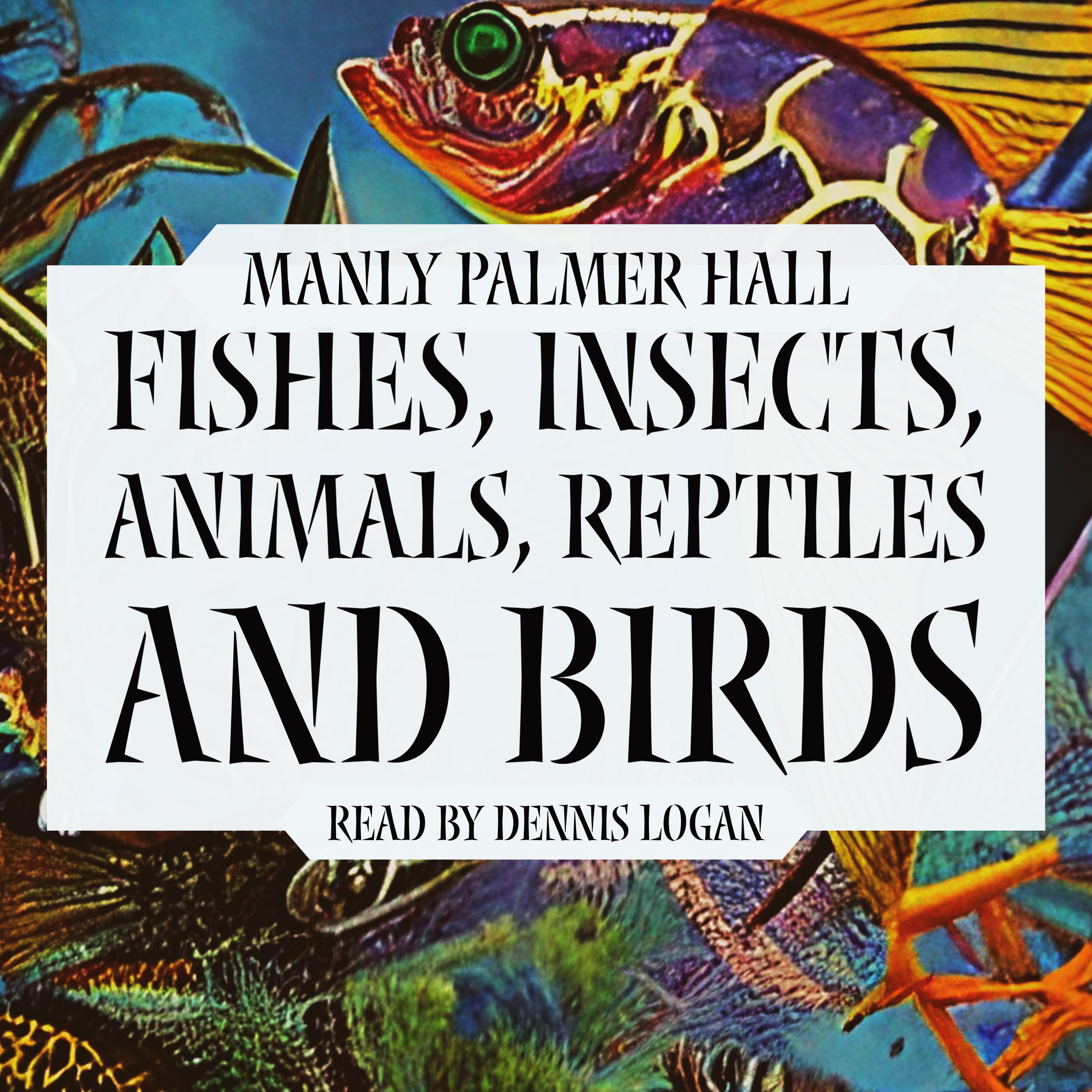 Fishes, Insects, Animals, Reptiles, and Birds