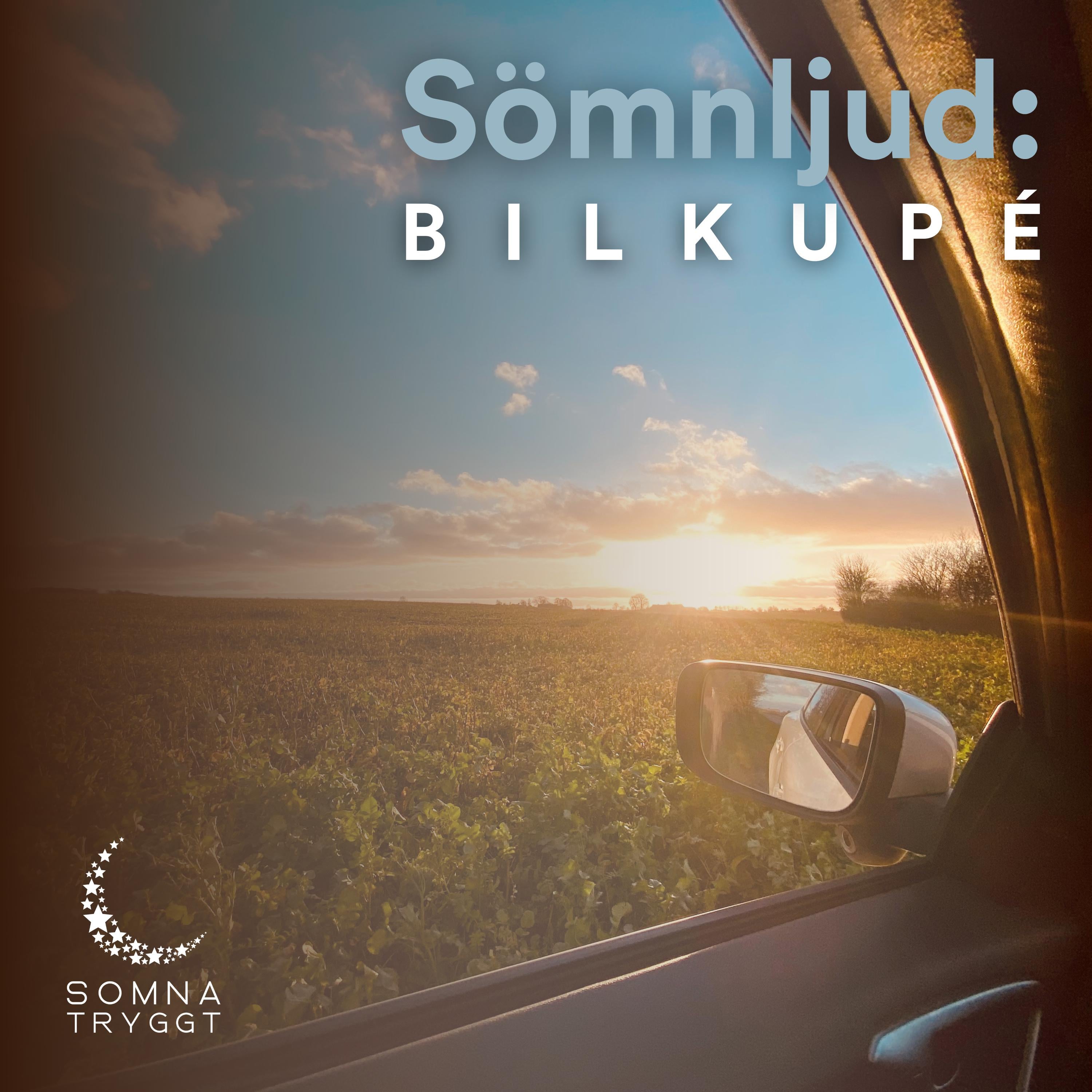 Sömnljud: