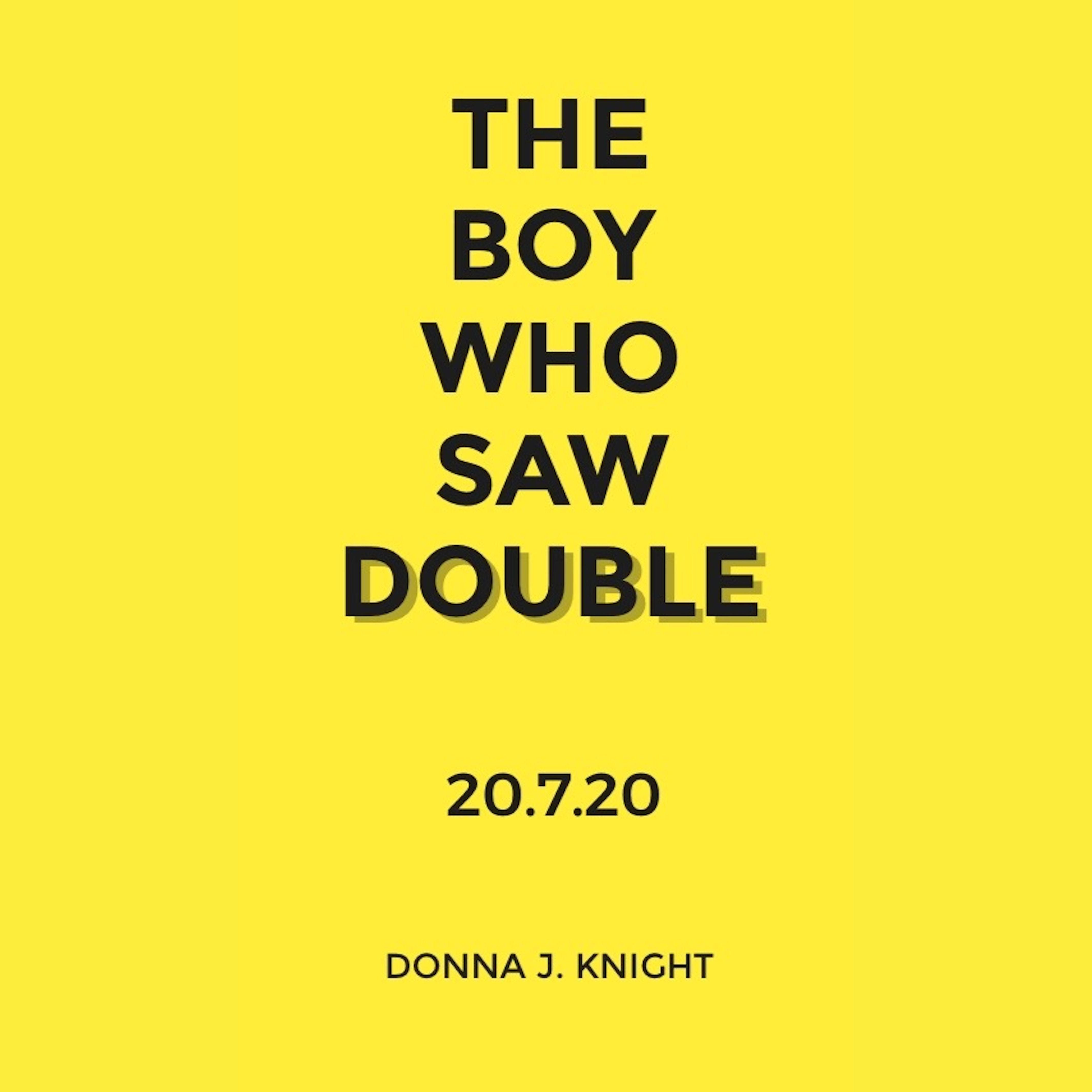 THE BOY WHO SAW DOUBLE