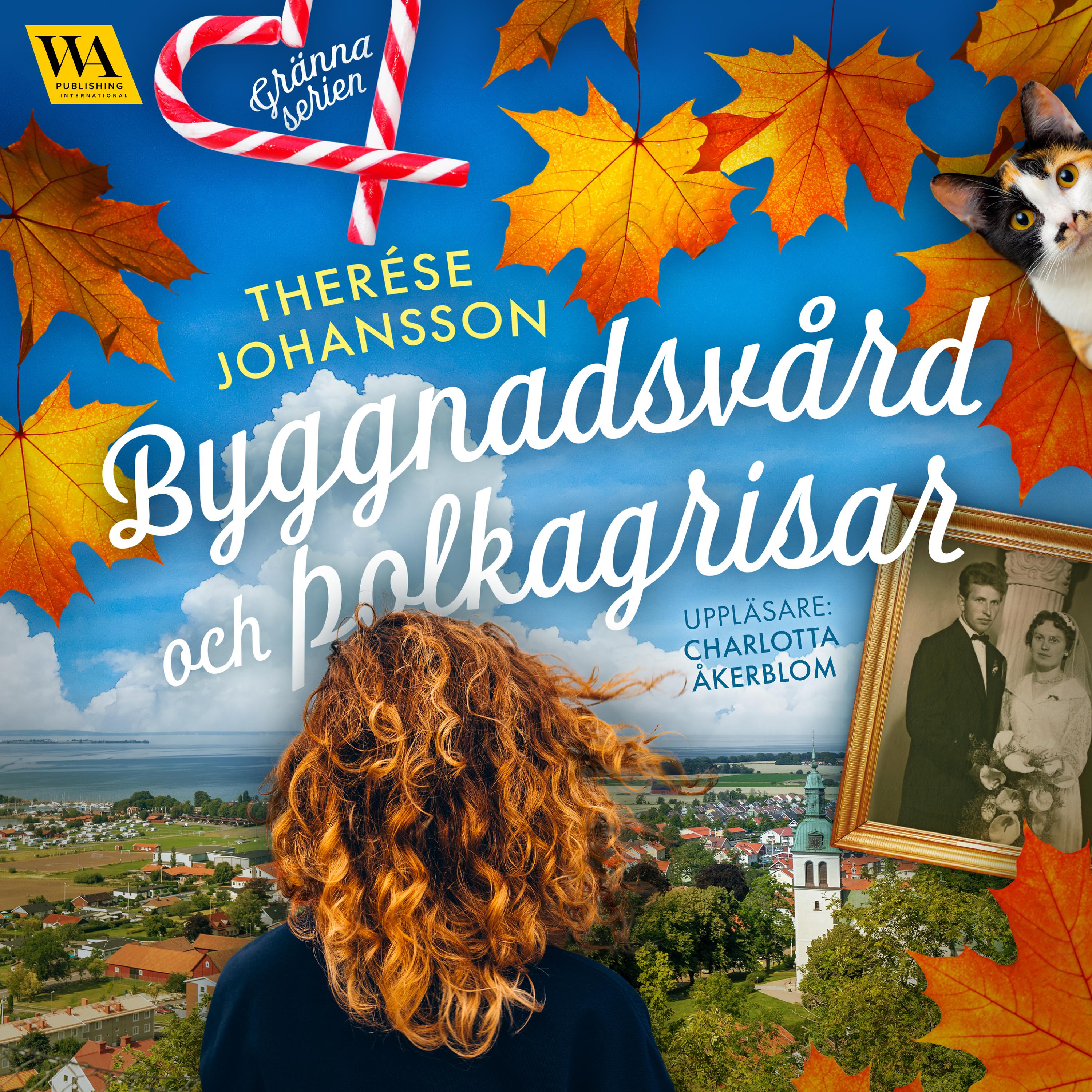 Byggnadsvård och polkagrisar
