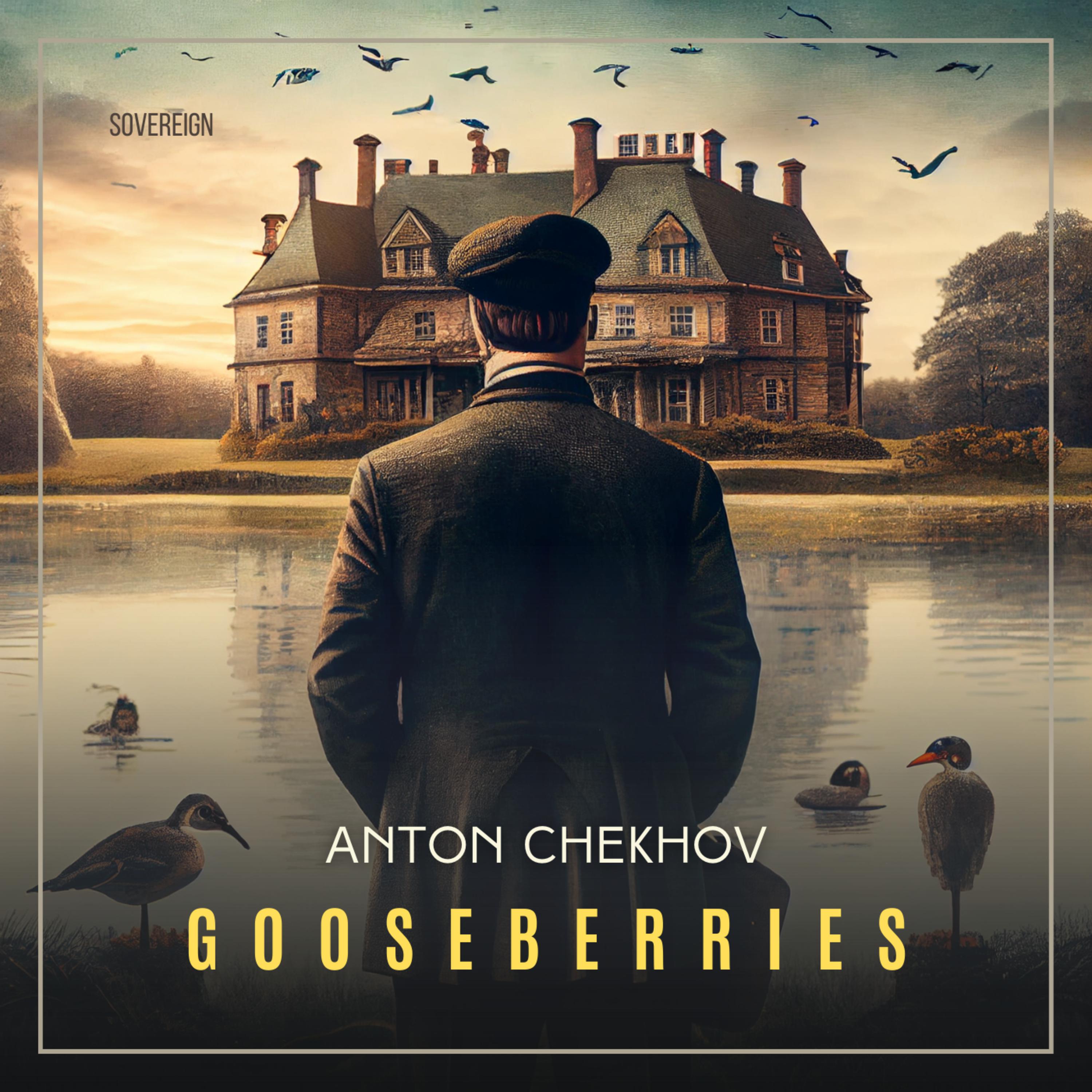 Gooseberries