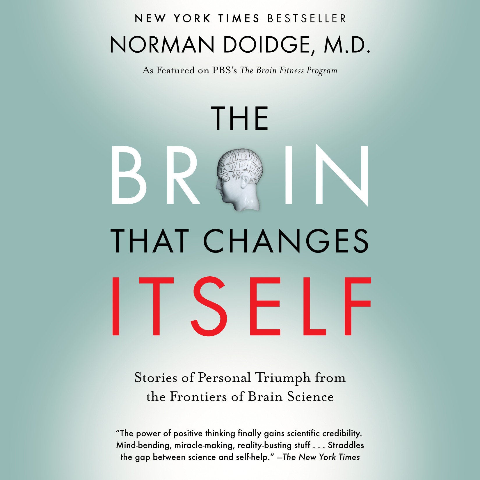 The Brain That Changes Itself